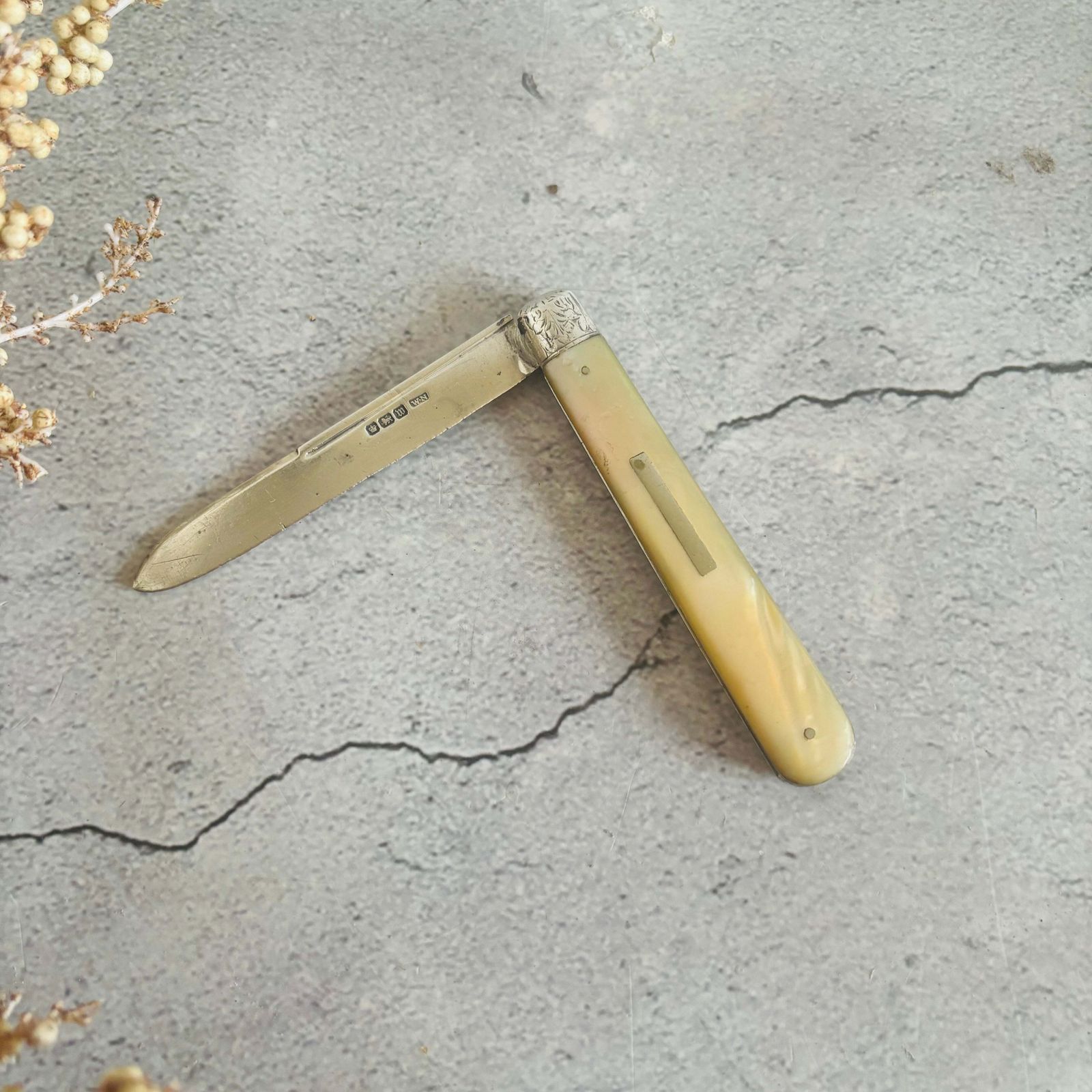 Silver And Mother Of Pearl Folding Fruit Knife 1914 photo furniture