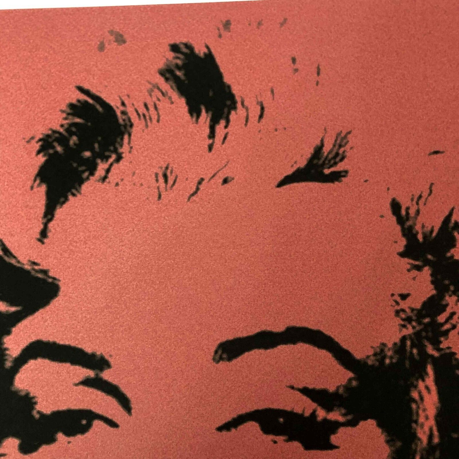 Andy Warhol Lithografie 50x50 cm Nieuwe Cmoa Editie Met Certificaat photo for sale