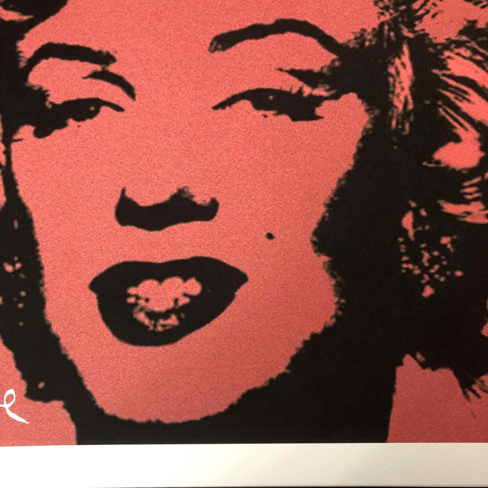 photo furniture Andy Warhol Lithografie 50x50 cm Nieuwe Cmoa Editie Met Certificaat