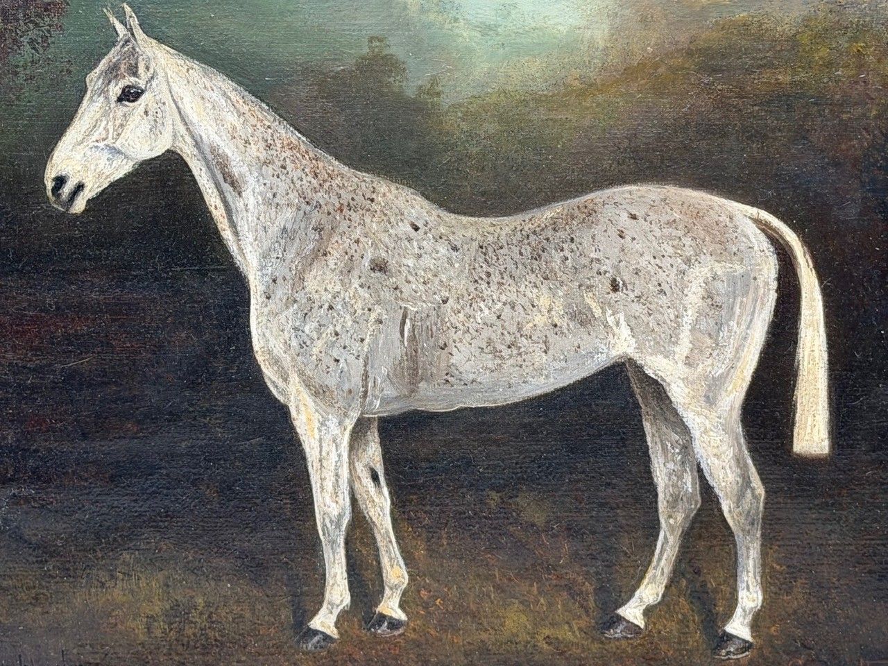 Olieverf portret begin 20e eeuw, Grisette, vleabitten grijze huntingmerrie, sportief, gesigneerd Herbert St. John Jones photo furniture