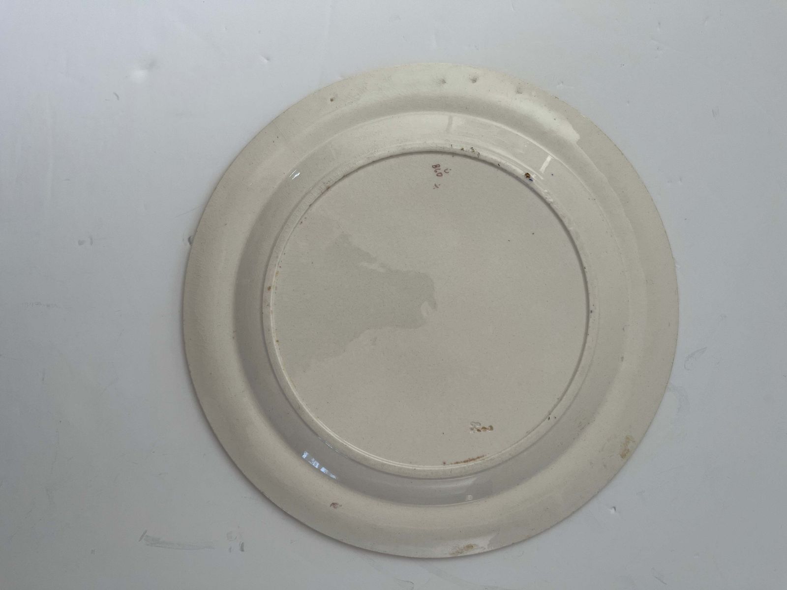 photo for sale Ridgway Ironstone Plate, Hand Painted Fish Design, Aesthetic Period, Circa 1884