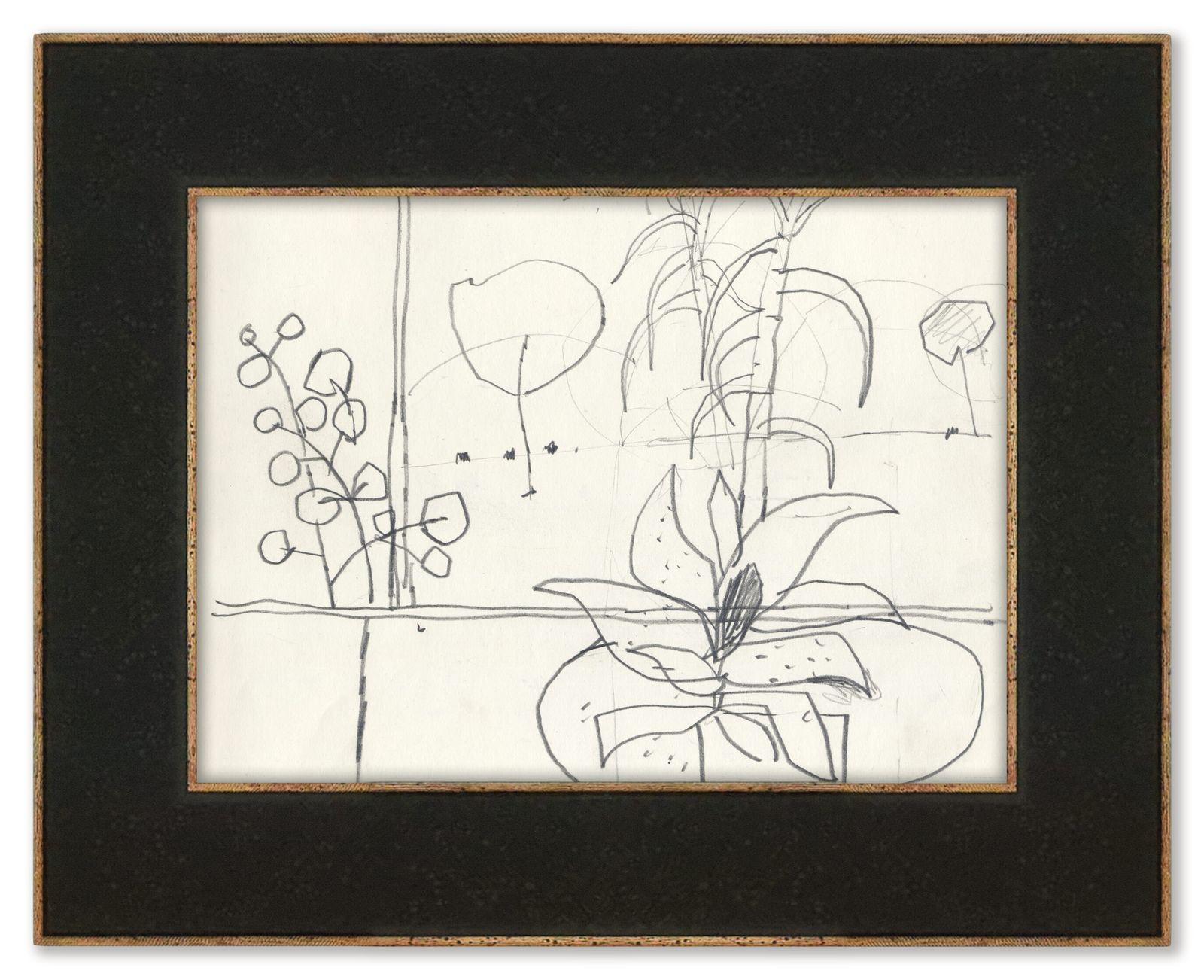 Lively Semi Abstract Plant Study By Henry Cliffe