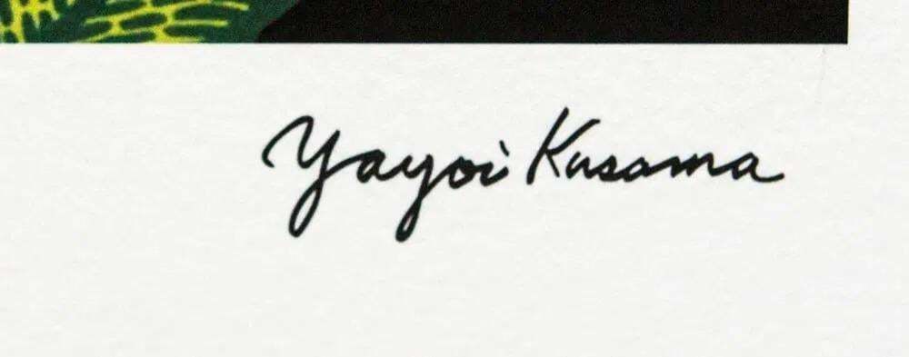 Naar Yayoi Kusama, Flower Garden, lithografie, jaren 1990 photo for sale