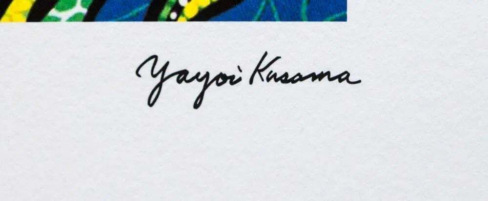 Naar Yayoi Kusama, Summer Flowers, lithografie, jaren 1990 photo Kunst