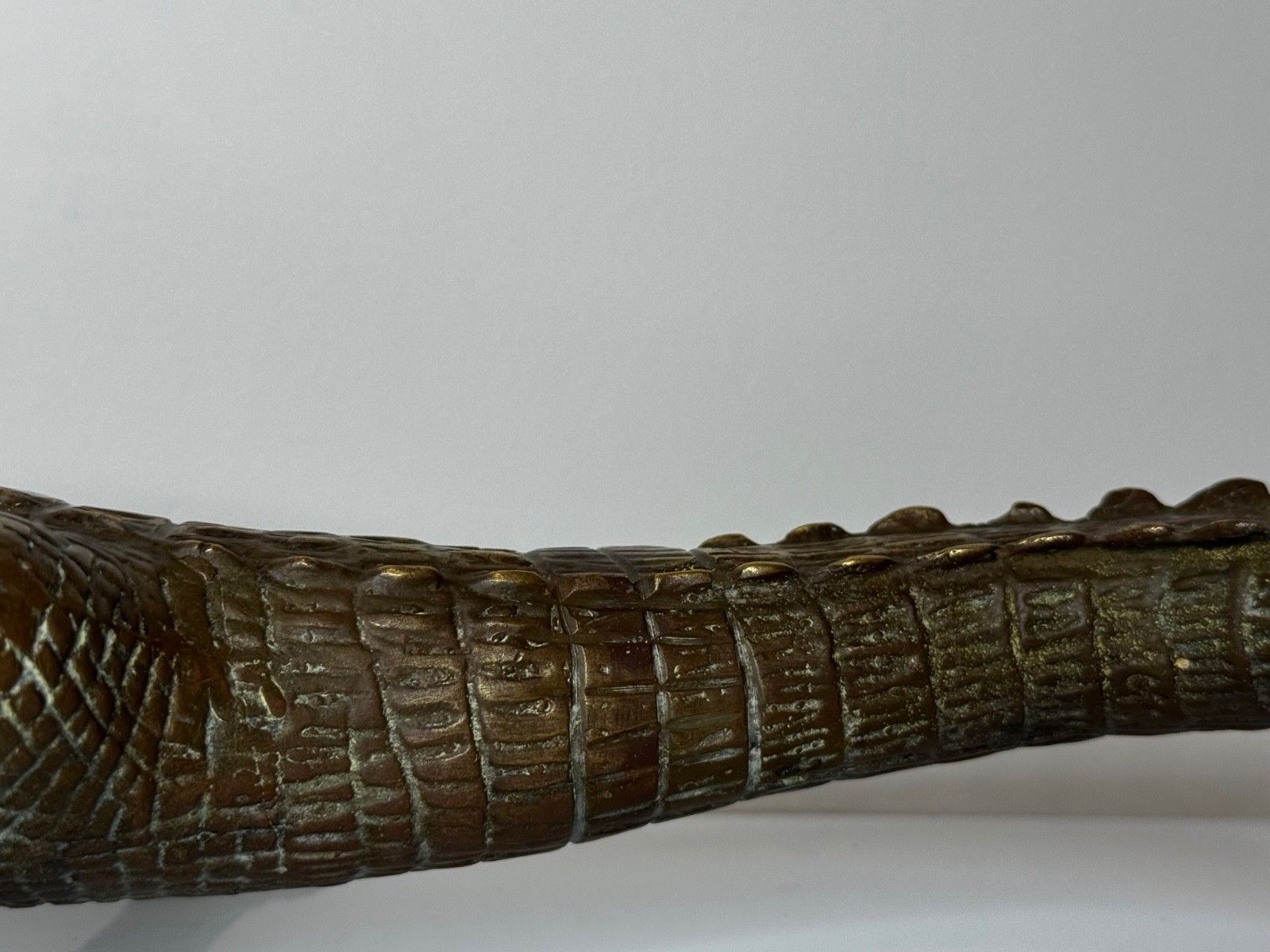 photo vinterior Early 20th Century Bronze Crocodile Fountain Head Garden Spout In The Manner Of Antoine Louis Barye