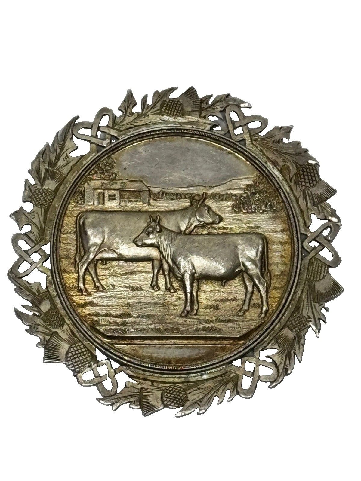 Victoriaanse Schotse zilveren landbouwprijsmedaille Ayrshire koe, kalf en stier