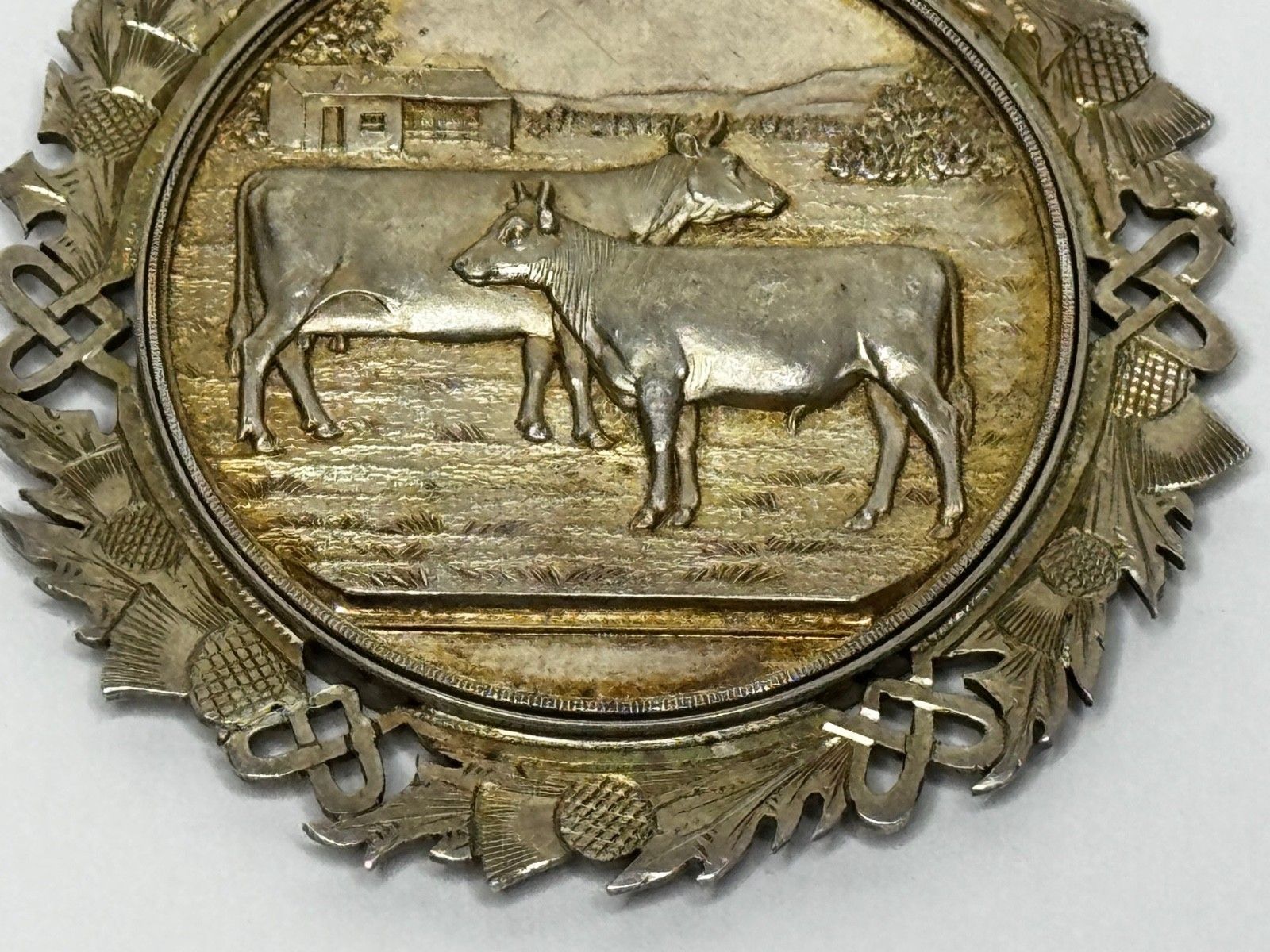 Victoriaanse Schotse zilveren landbouwprijsmedaille Ayrshire koe, kalf en stier photo vintage