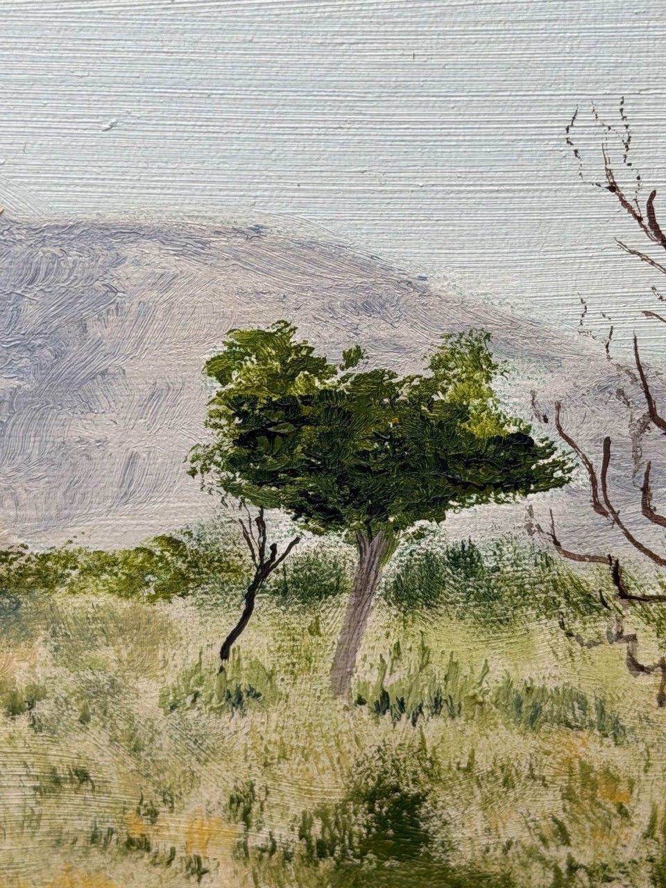 photo for sale Olieverfschilderij Zuidwest-USA, Chisum Trail, New Mexico, initialen gesigneerd door Dennis Herbert Trewartha