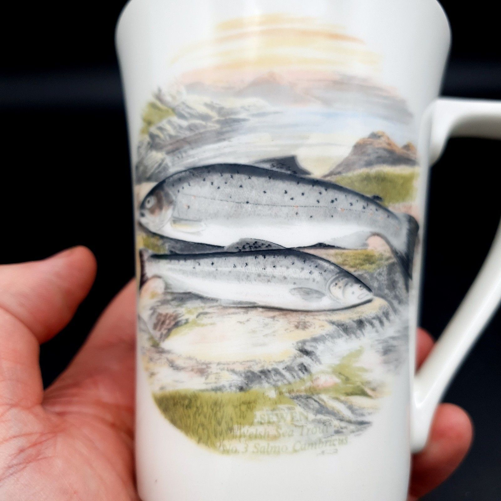 Portmeirion Compleat Angler Fern Sewen Welsh Sea Trout No.3 Mug Scarce photo vinterior
