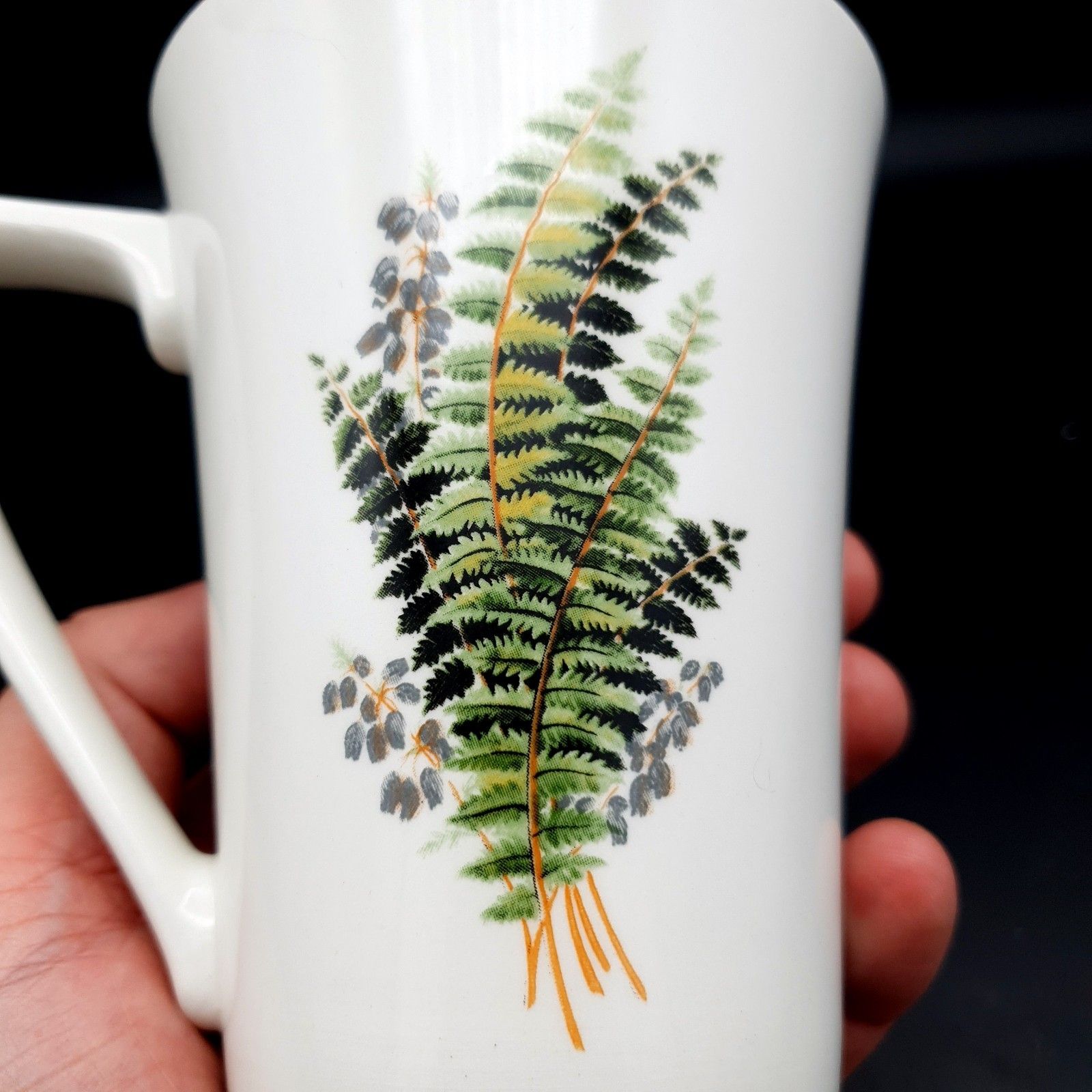 Portmeirion Compleat Angler Fern Salmon No.1 Salmo Salar Mug Scarce Fishing photo vintage