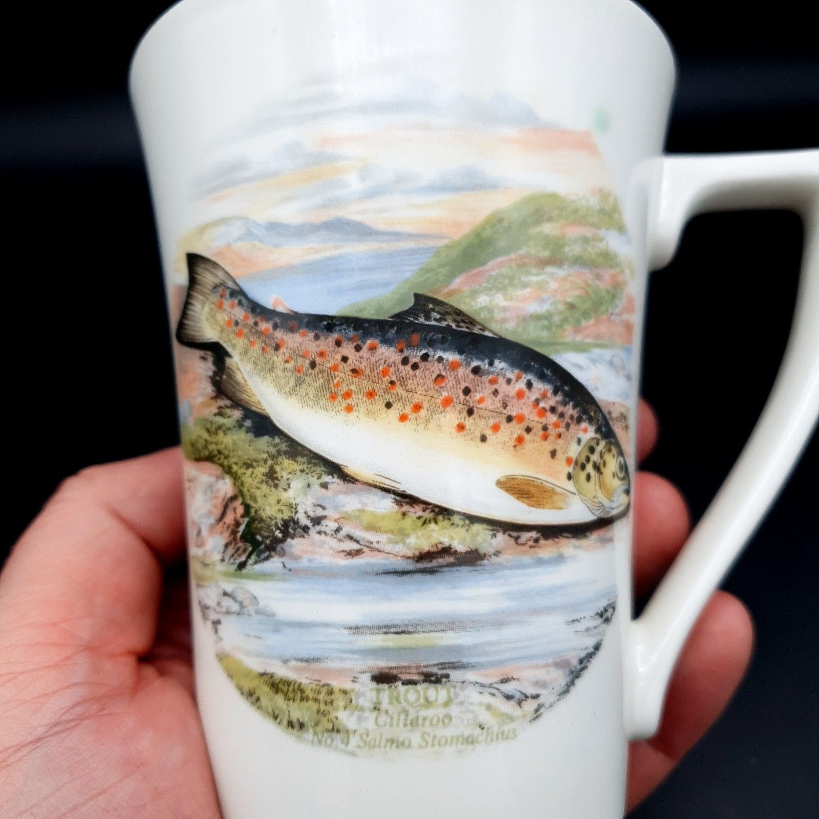 Portmeirion Compleat Angler Fern Trout Gillaroo No. 4 Mug 1981+ Scarce Fishing photo vinterior