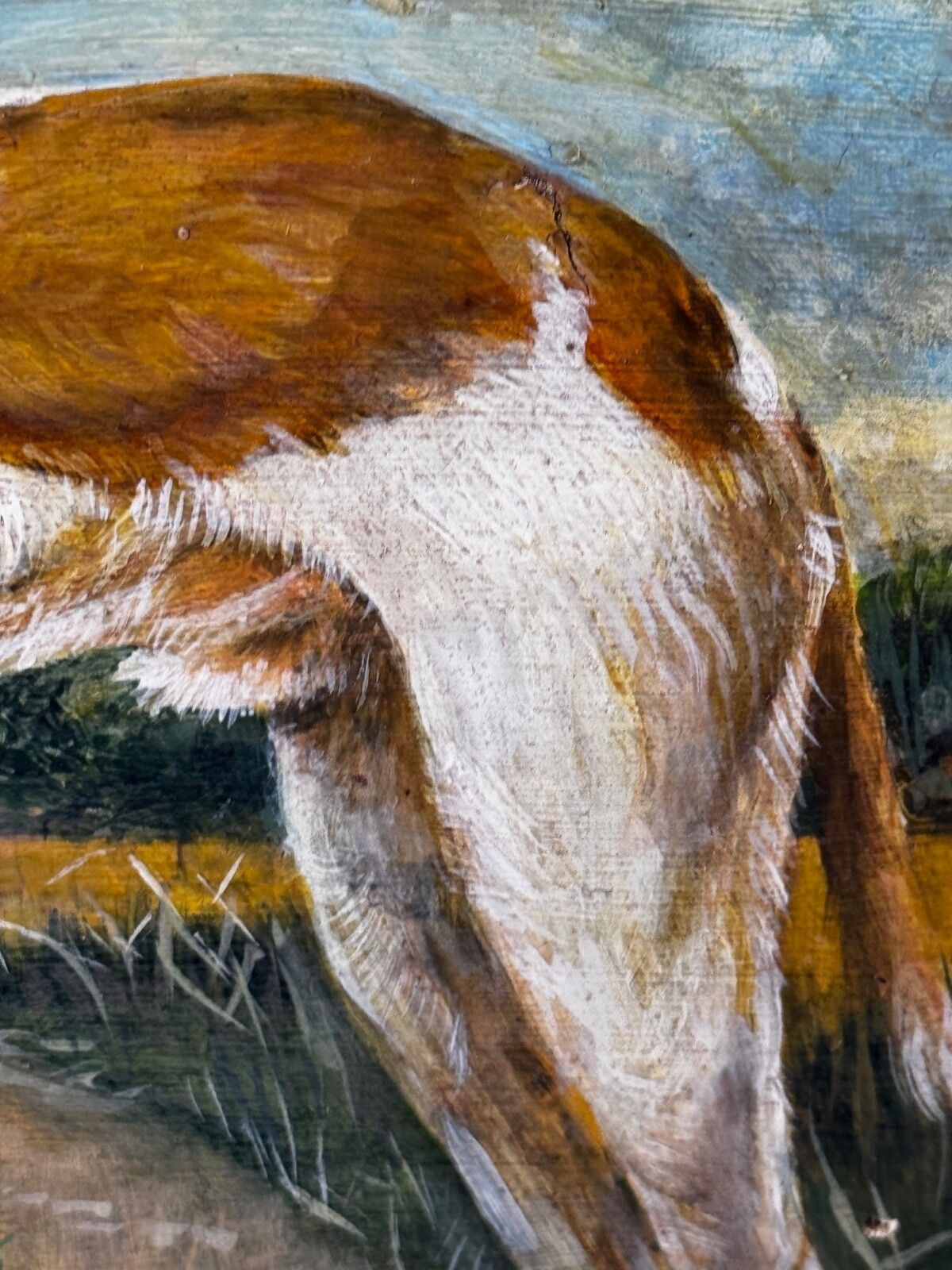 photo vintage Antiek Brits olieverfschilderij van een lurcher/greyhound, gesigneerd J. Warnes, ca. 1910