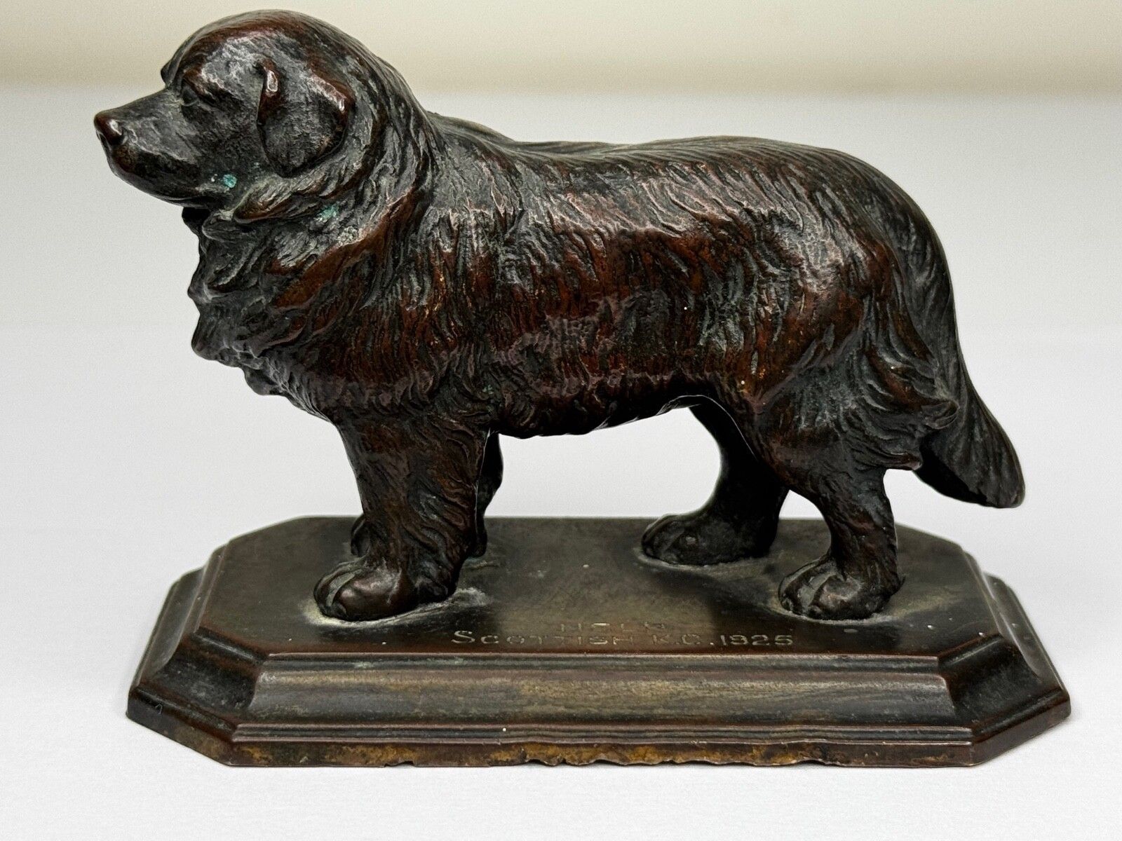 Antiek Schots Kennel Club Association Newfoundland hond bronzen sculptuur photo furniture