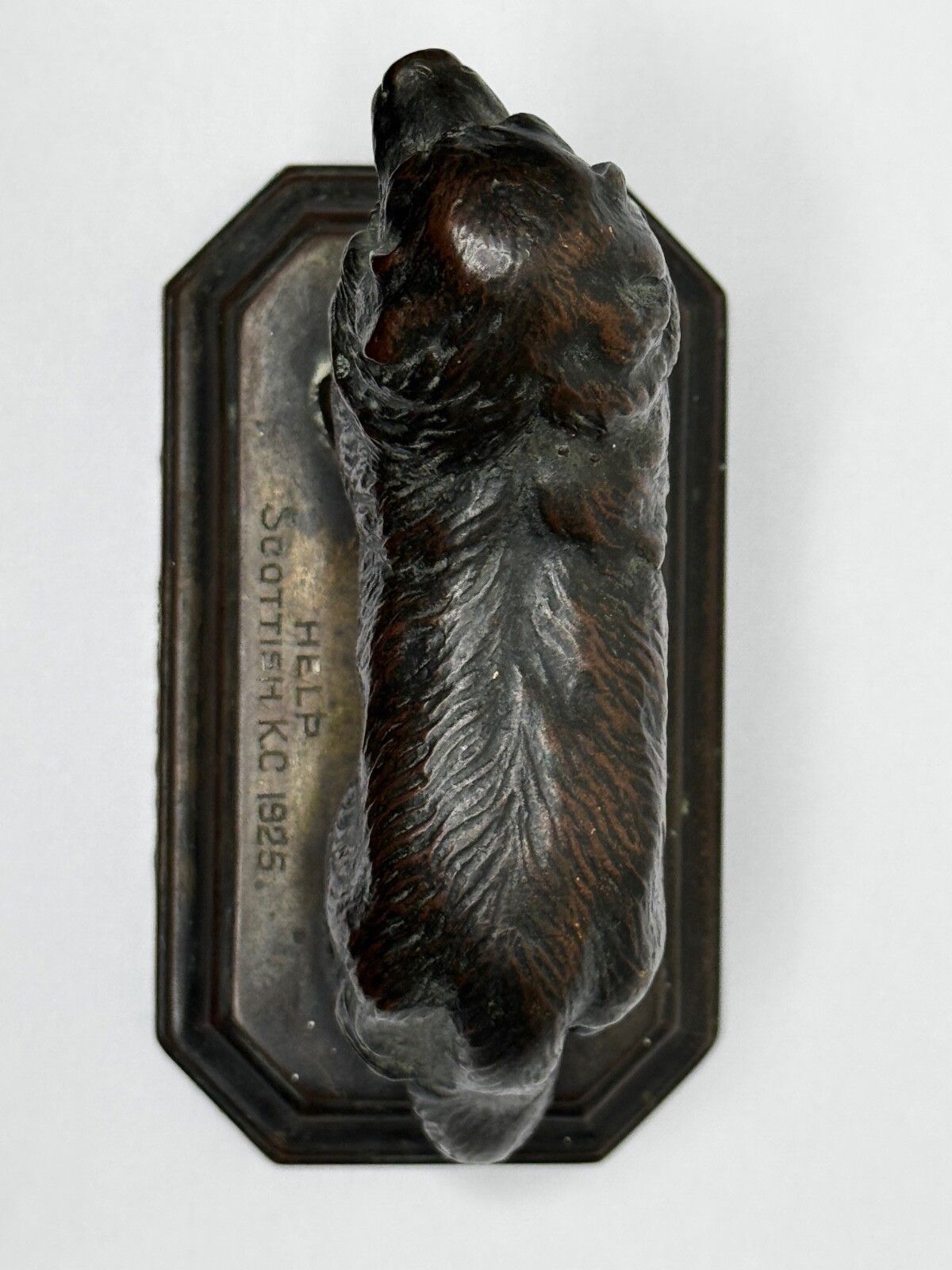 photo for sale Antiek Schots Kennel Club Association Newfoundland hond bronzen sculptuur