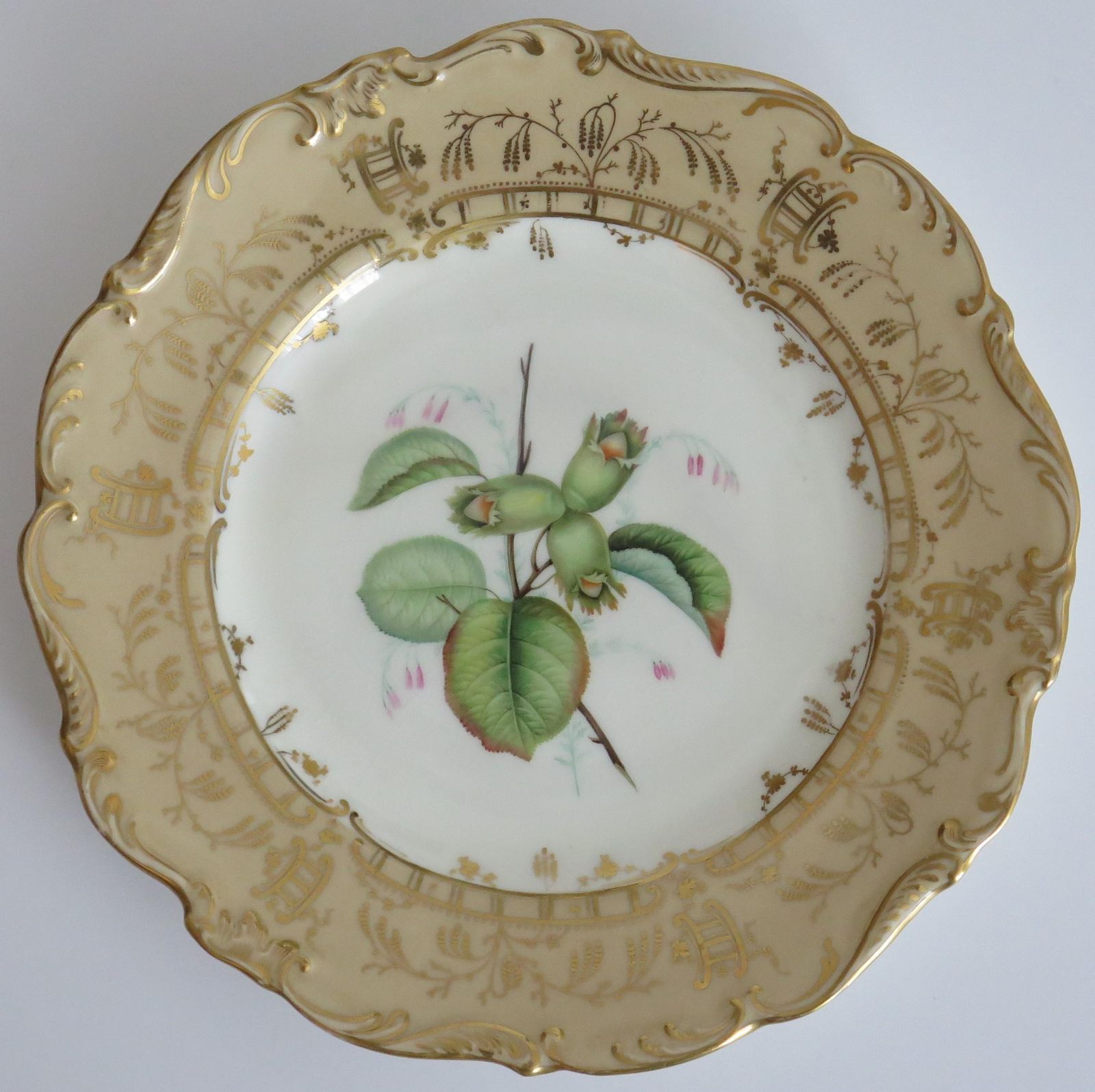 Antiek botanisch bord H&R Daniel, handgeschilderd porselein, ca. 1830. photo furniture