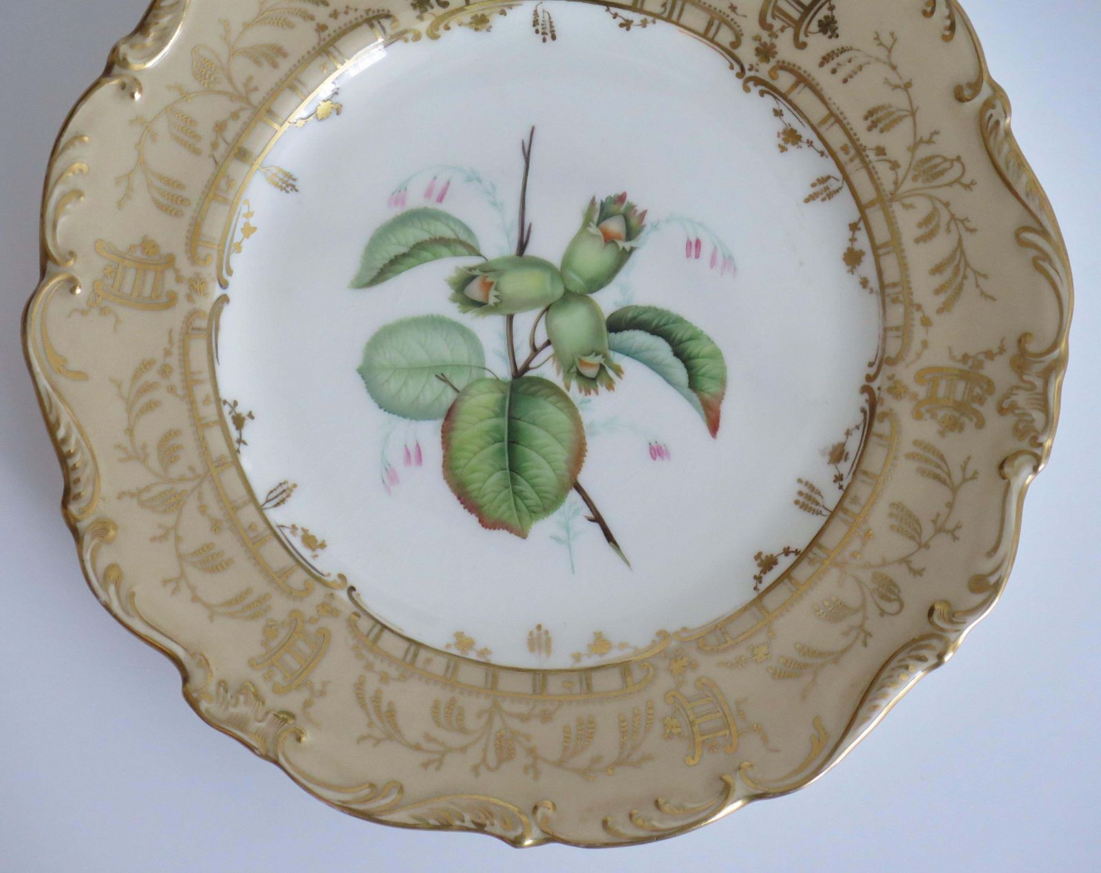 Antique H&R Daniel Botanical Plate, Hand Painted Porcelain, Circa 1830. photo Home Decor