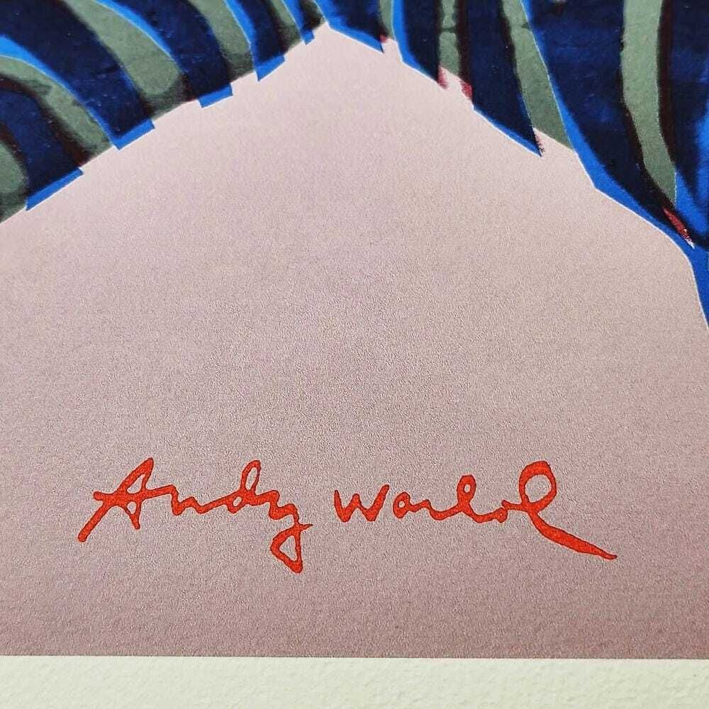 Andy Warhol "Grevy's Zebra" Gelimiteerde Oplage Lithografie door CMOA, jaren 1980, genummerd in potlood. photo for sale