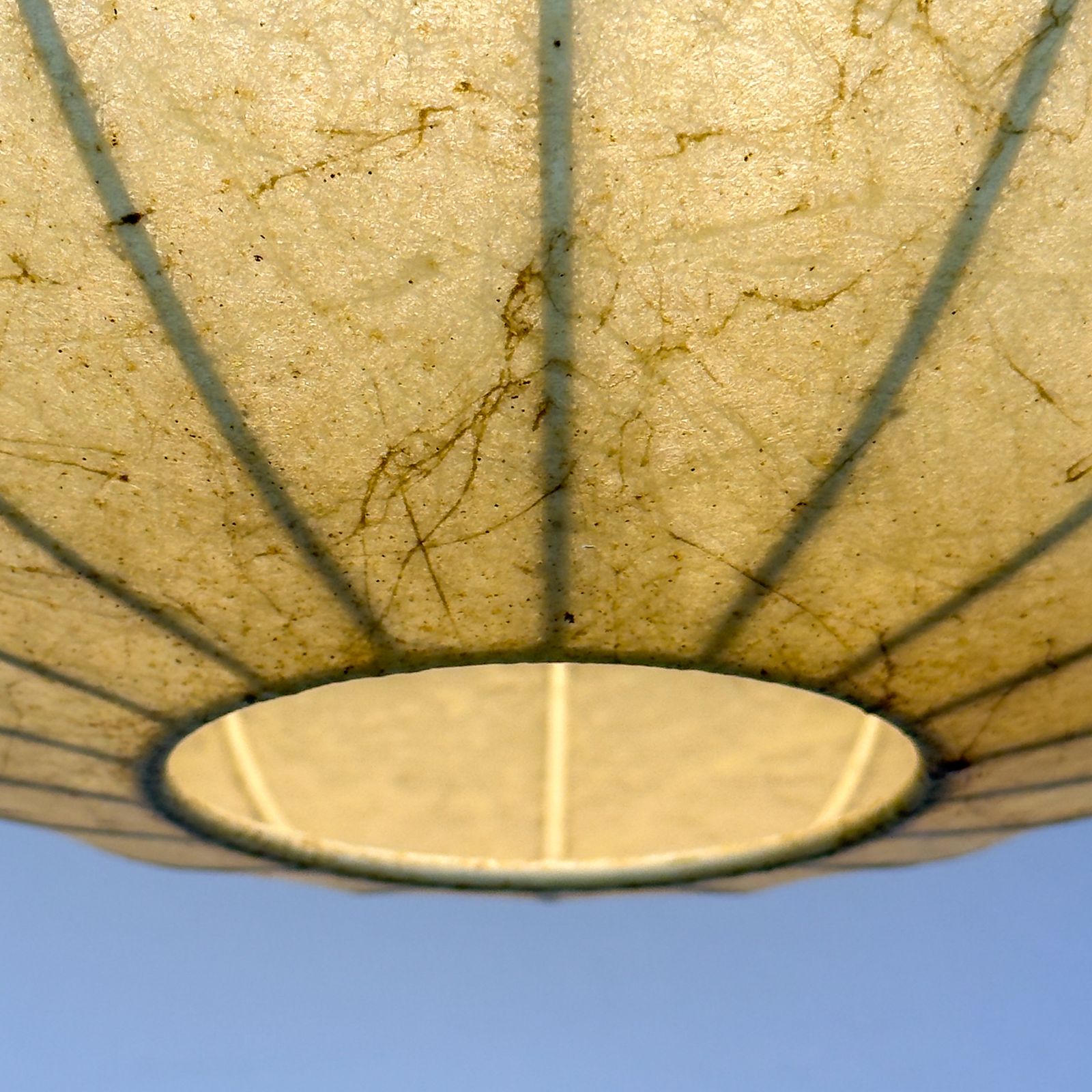 photo vinterior Cocoon Pendant Lamp By Friedel Wauer For Goldkant Leuchten, Germany 1960s