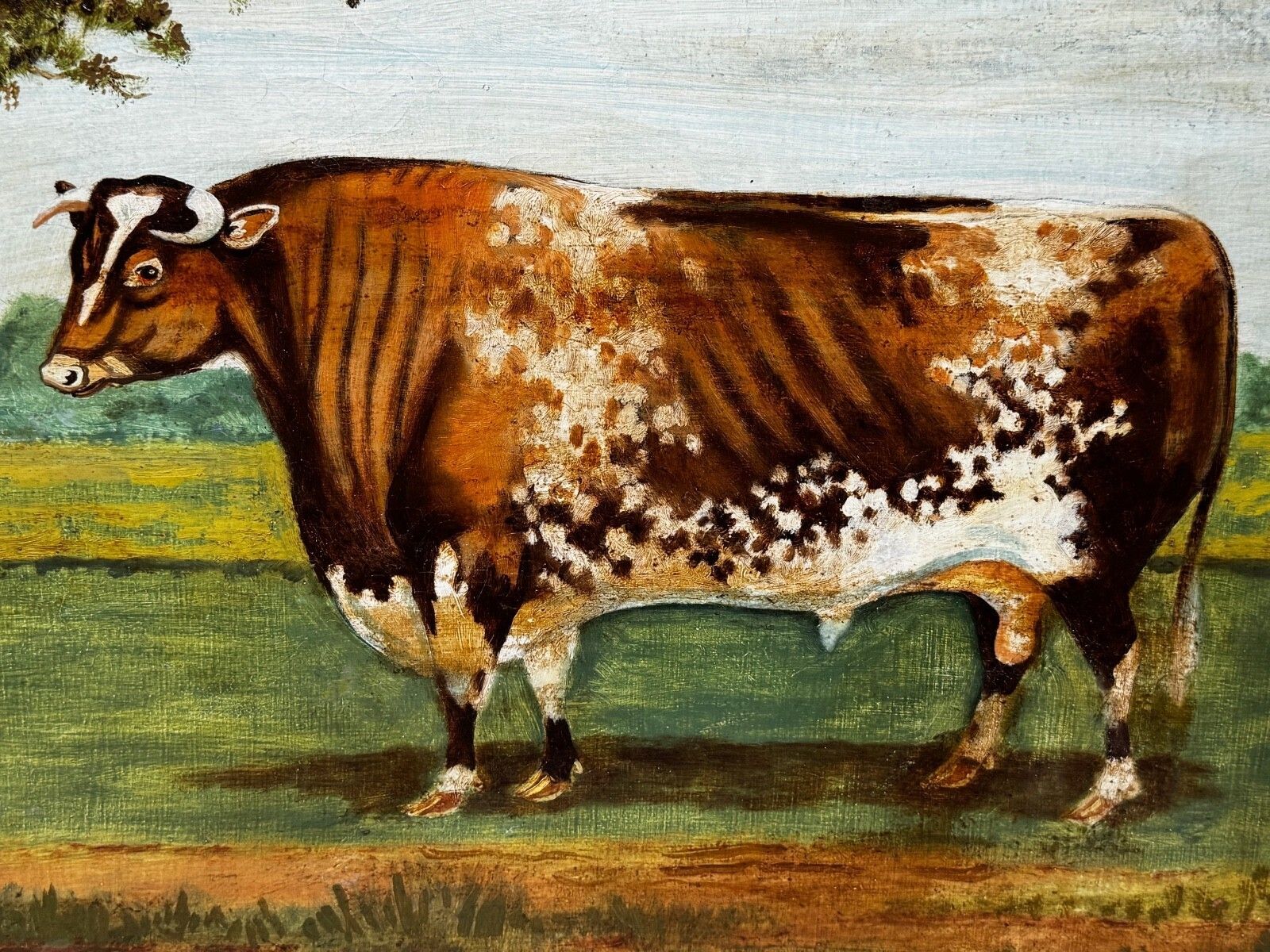 Victorian Prized Shorthorn Bull Oil Painting British School Manner William Ward photo buy