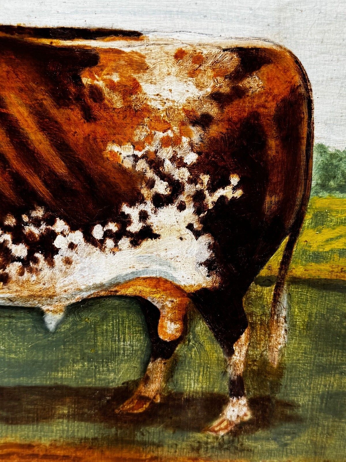 Art Victorian Prized Shorthorn Bull Oil Painting British School Manner William Ward photo
