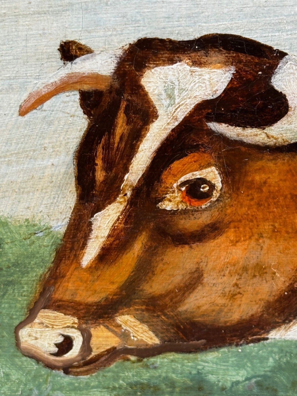 photo vintage Victorian Prized Shorthorn Bull Oil Painting British School Manner William Ward