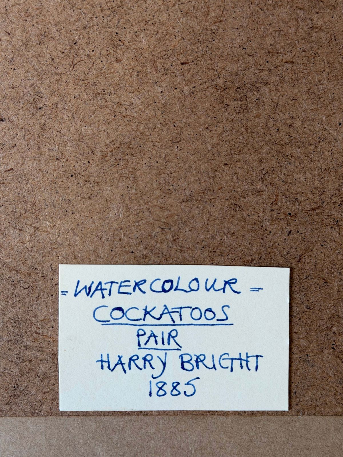 Aquarelle victorienne représentant un cacatoès rose sur un perchoir avec une gamelle, signée Harry Bright photo 750.0