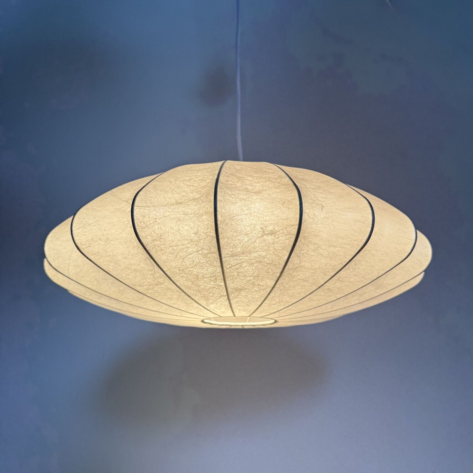 Suspension Cocoon mid-century modern par Friedel Wauer pour Goldkant Leuchten, années 1960 photo furniture