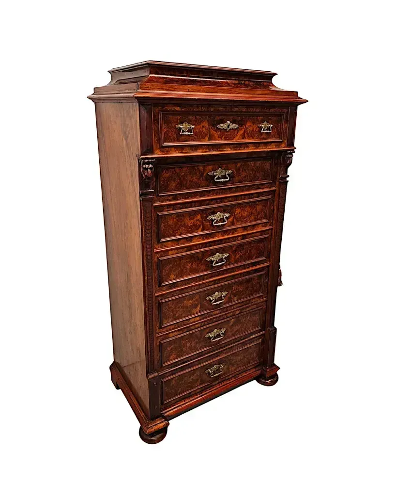 A Very Rare 19th Century Massive Wellington Style Chest Of Tall Drawers photo furniture