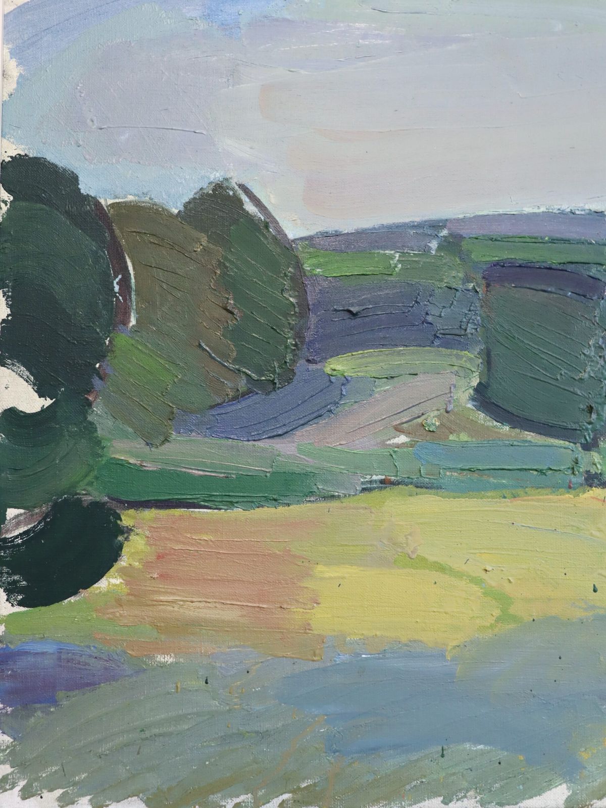 Fields Beyond In Oil Onto Canvas photo vinterior