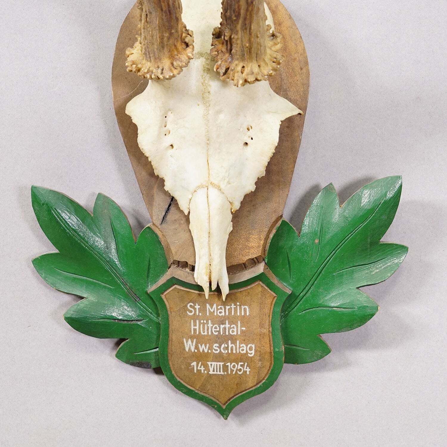 Fraai Zwarte Woud Edelhertentrofee op Gesneden Plaquette   Duitsland 1954 photo Woonaccessoires