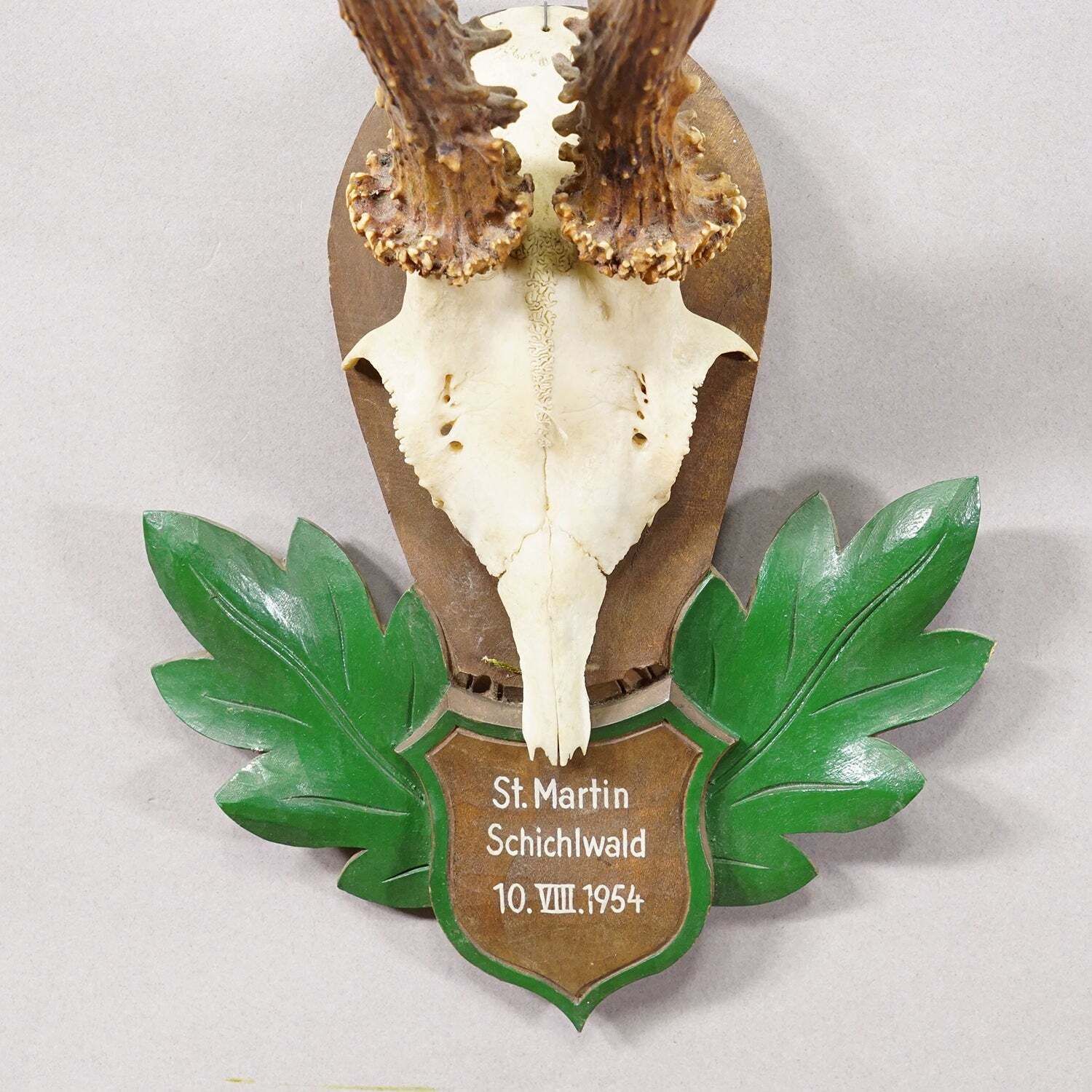 Great Black Forest Red Deer Trophy On Carved Plaque   Germany 1954 photo Home Decor