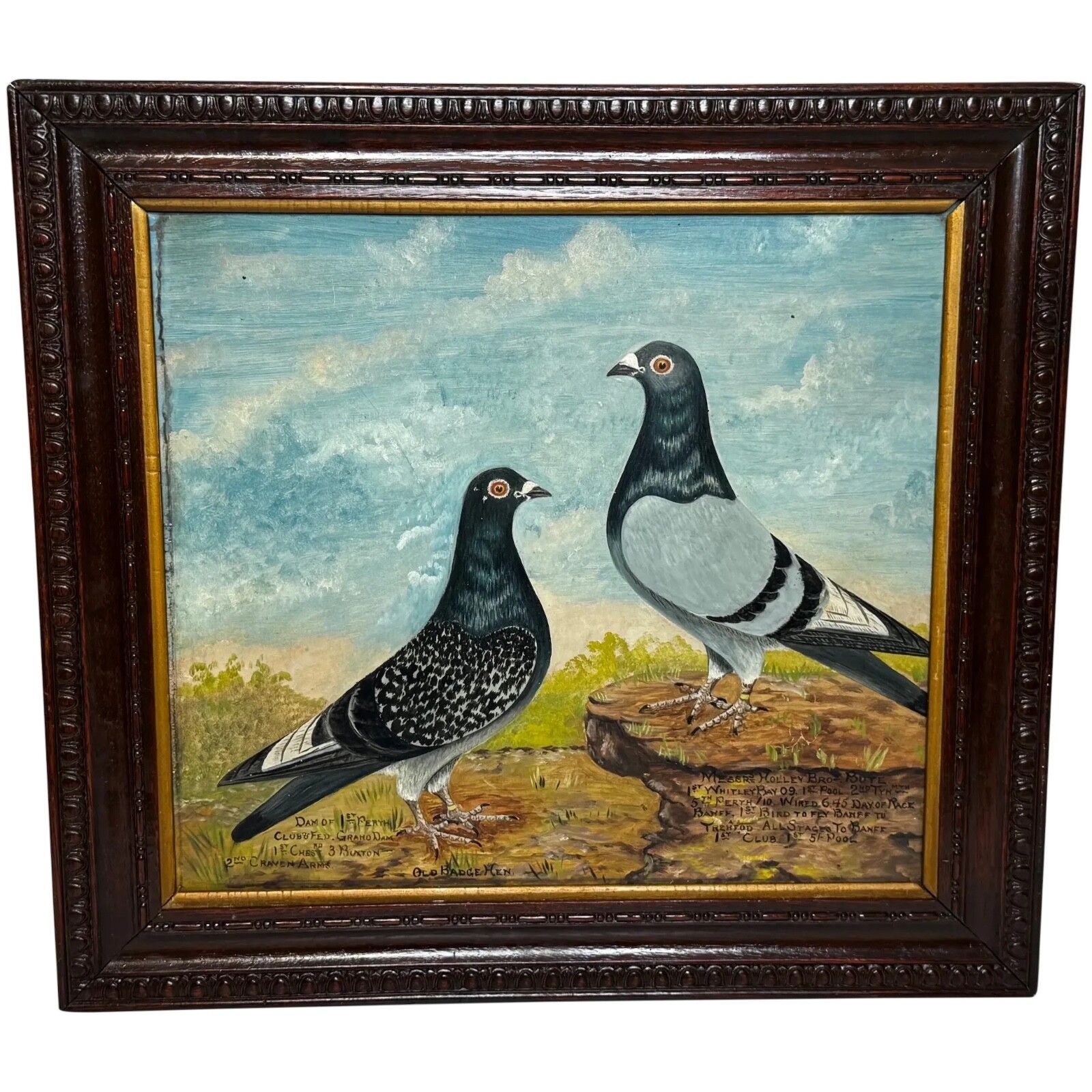 Old Badge Hen & Holley Brothers - Brits schilderij van een reisduif