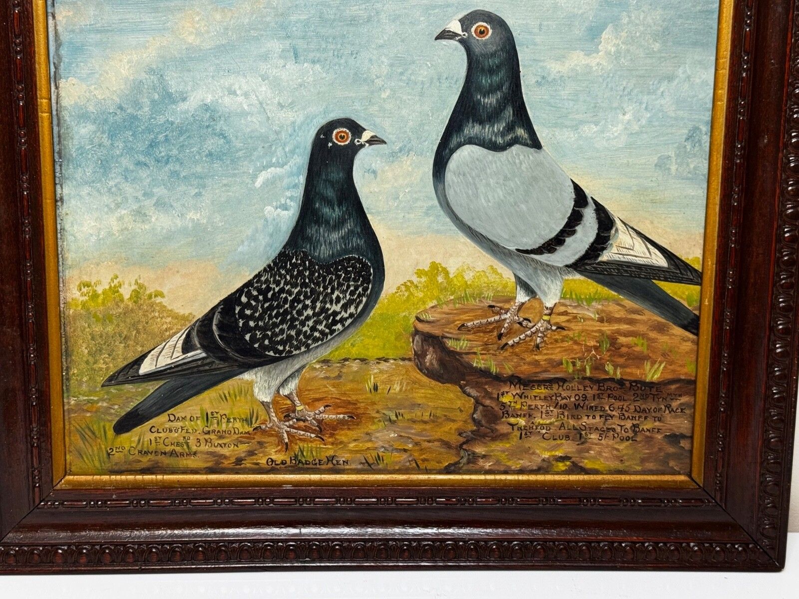 photo buy Old Badge Hen & Holley Brothers – British Racing Pigeon Painting