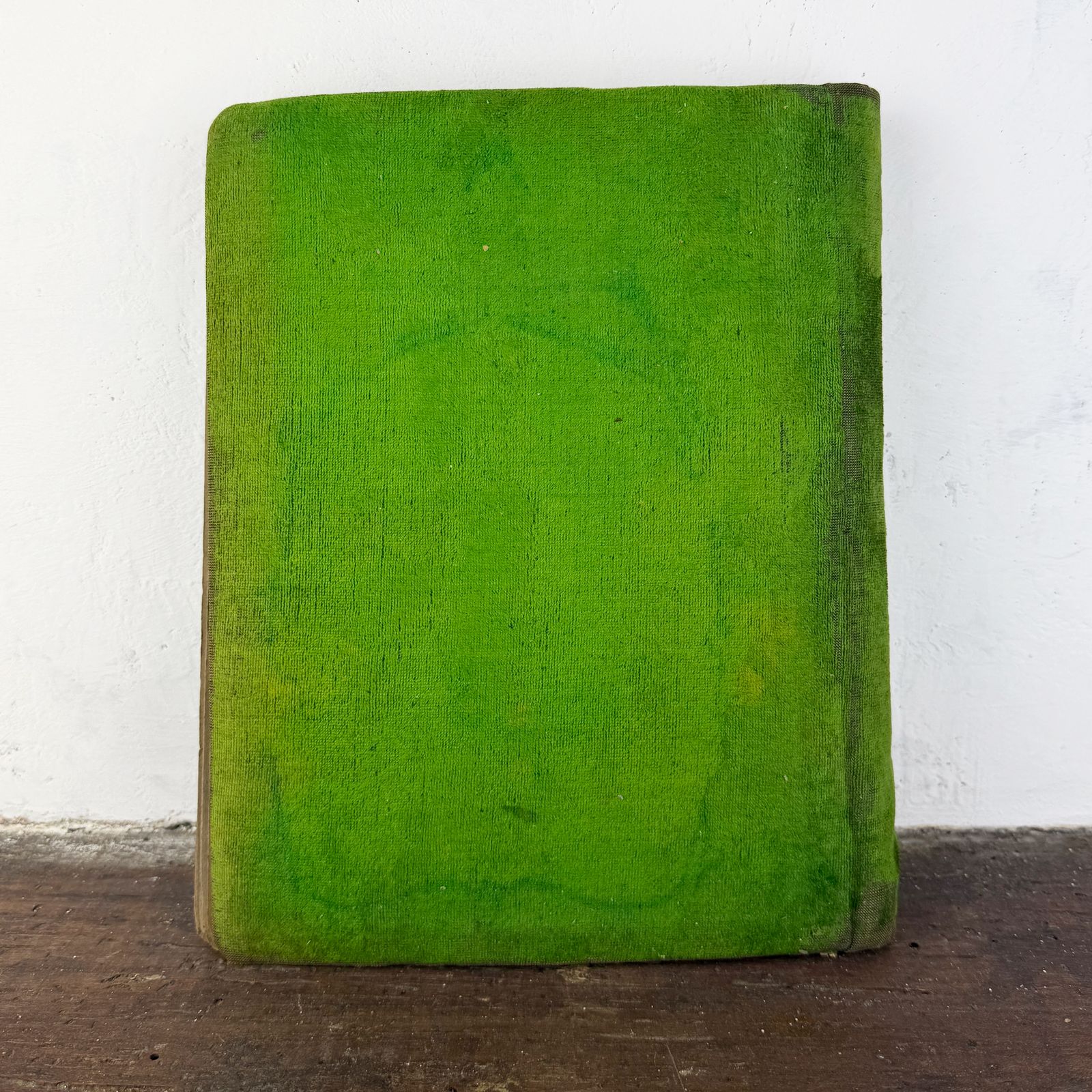 French Art Nouveau Photo Album, Green Velvet Photograph & Postcard Album, Belle époque Memory Book, Circa 1900 photo vinterior