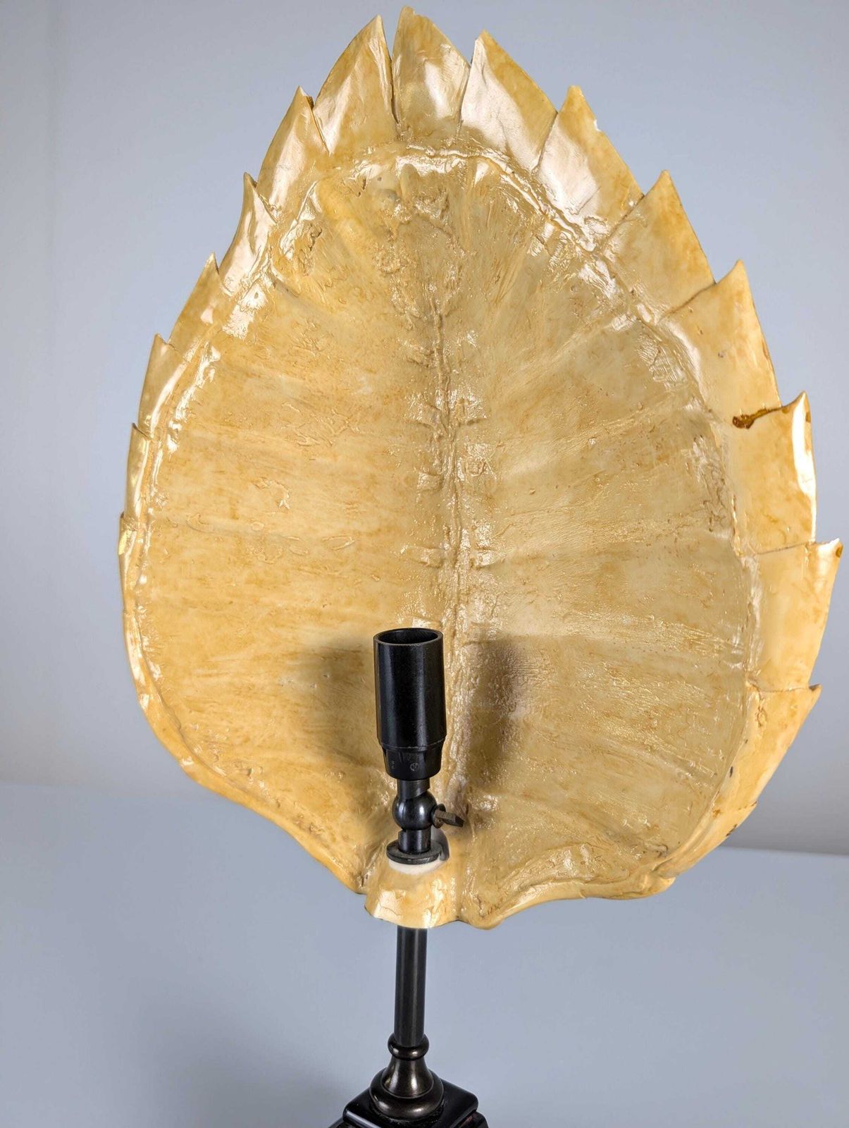 Turtle Shell Table Lamp In Resin, Maison Jansen, 1970s photo vinterior