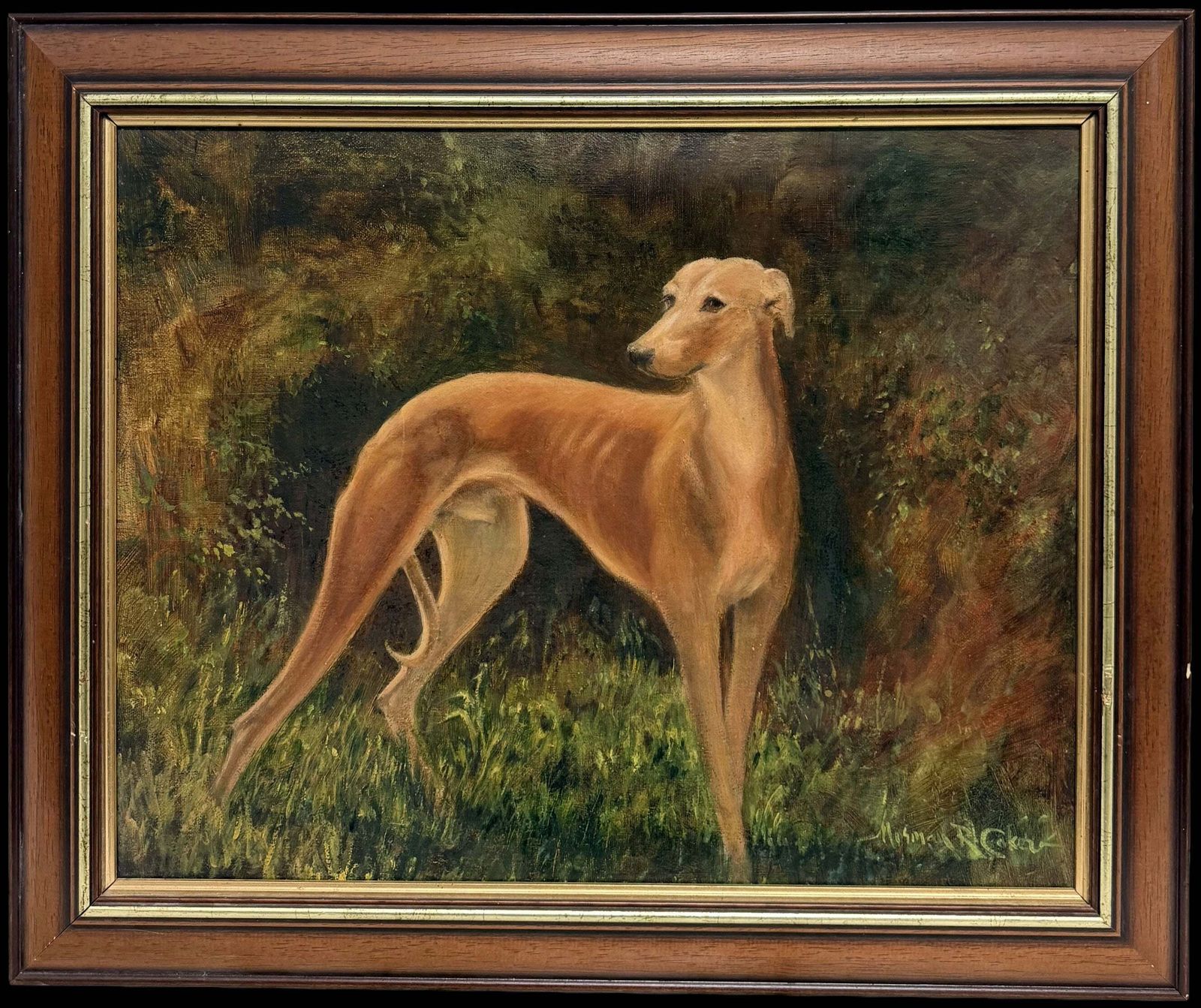 Portrait d'un lévrier fauve dans un paysage boisé, école anglaise, peinture de sport à l'huile