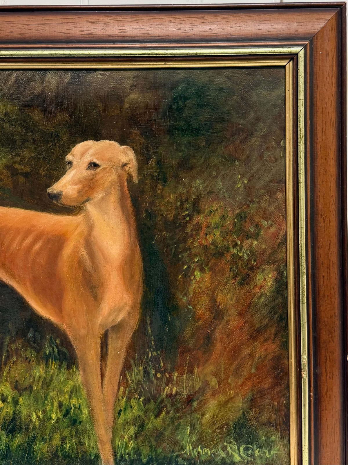 Portrait Of Tan Greyhound In Woodland Landscape English School Sporting Oil photo for sale