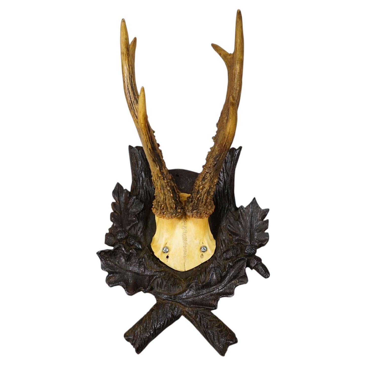 Antiek Edelhertgewei op Gesneden Plaquette, Zwarte Woud, Duitsland 1900