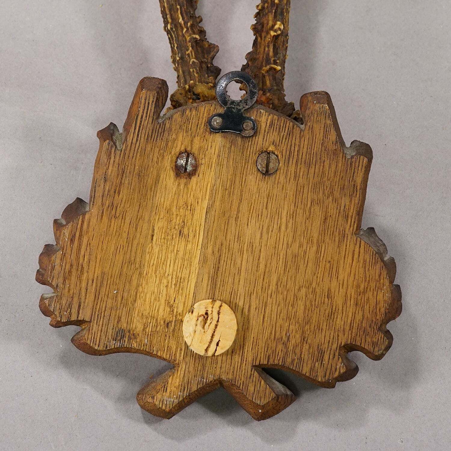 Antique Black Forest Red Deer Trophy On Carved Plaque, Germany 1929 photo Home Decor
