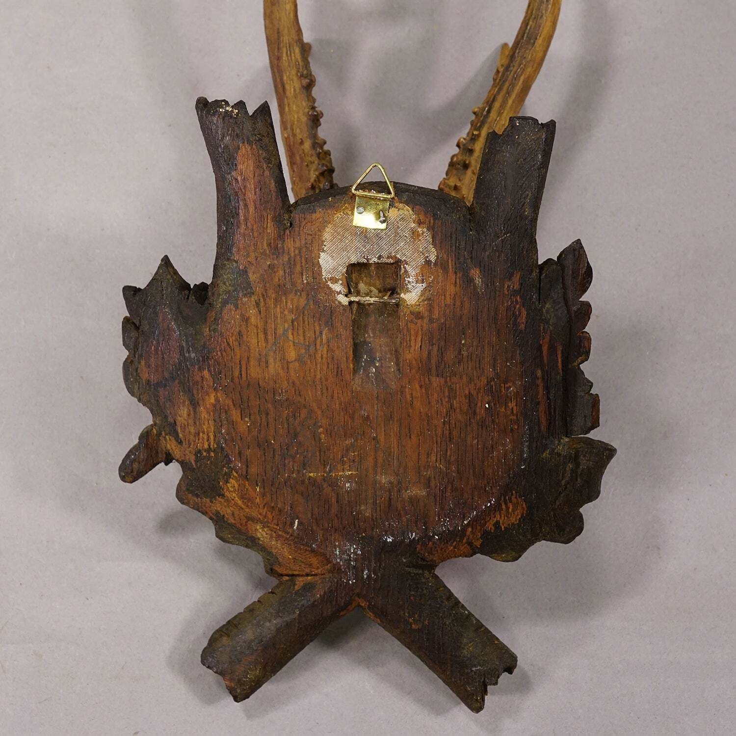 Antiek Edelhertgewei op Gesneden Plaquette, Zwarte Woud, Duitsland 1900 photo 183.0