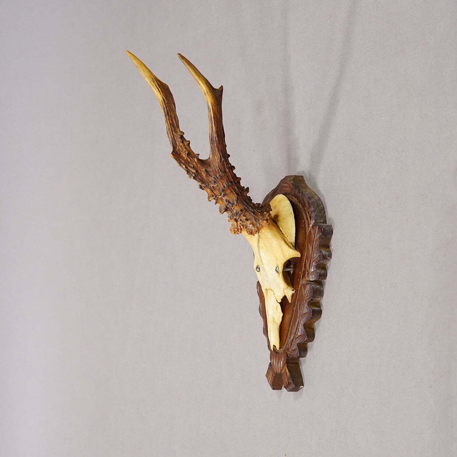 Vintage Black Forest Red Deer Trophy On Carved Plaque, Germany 1950s photo for sale