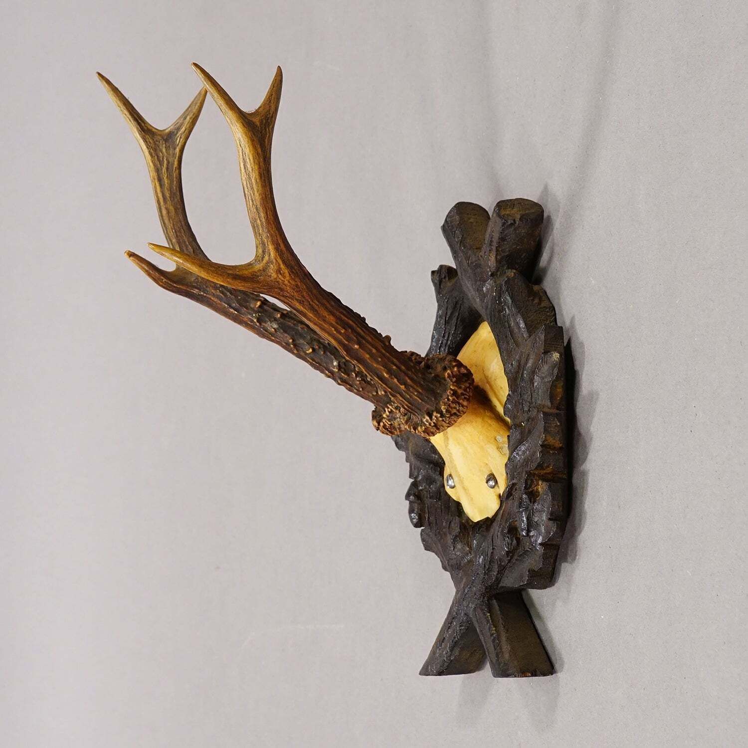 Antiek Edelhertgewei op Gesneden Plaquette, Zwarte Woud, Duitsland 1900 photo furniture