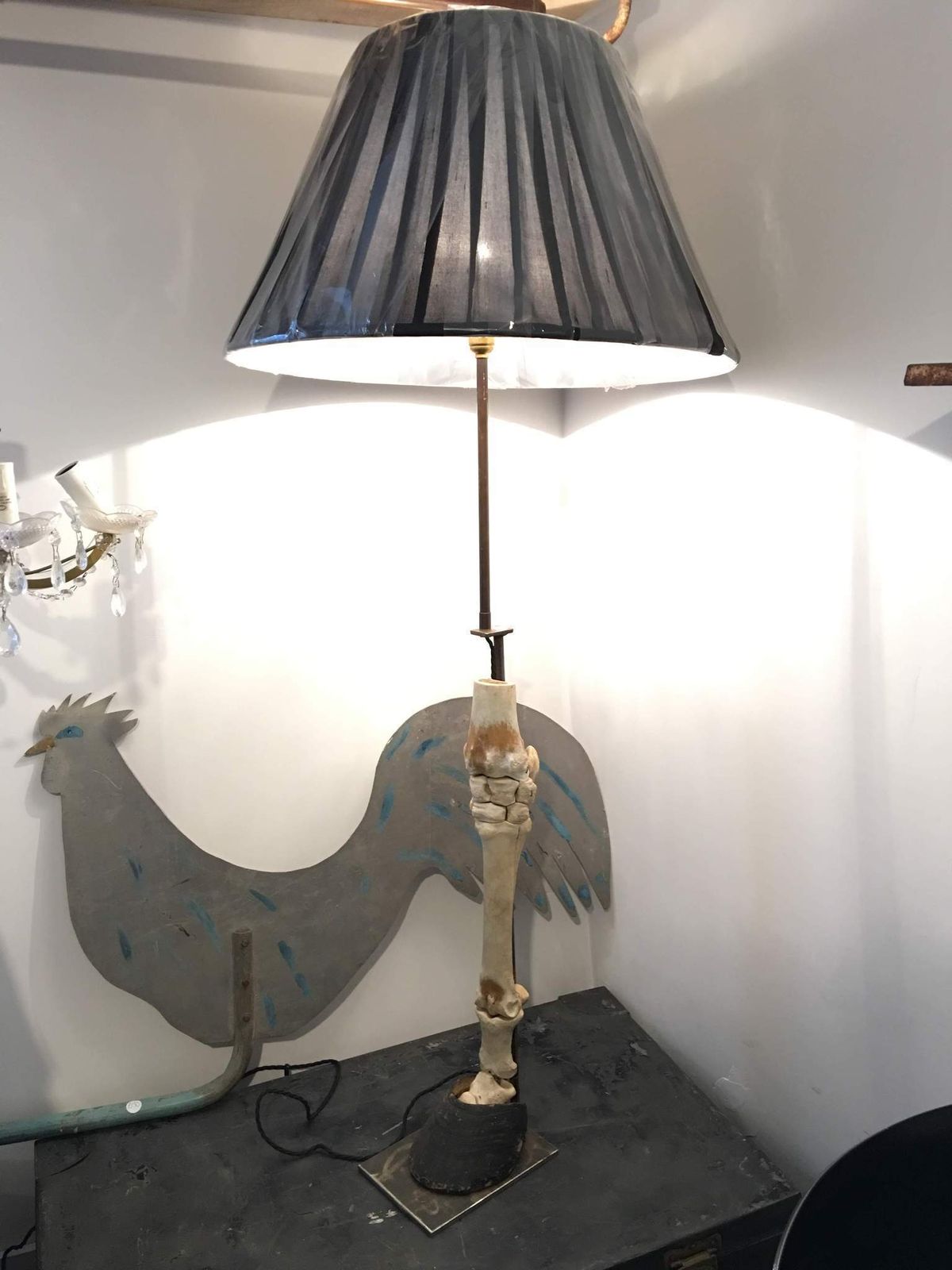 Horses Skeleton Leg With Hoof Upcycled Lamp Taxidermy