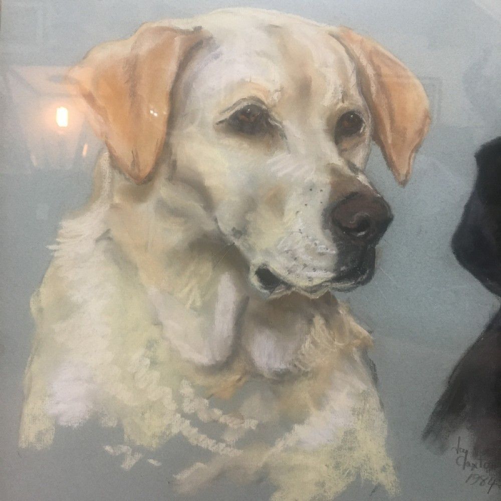 Jay Claxton Signed Pastel Drawing Of Labrador & Spaniel 1984 photo for sale
