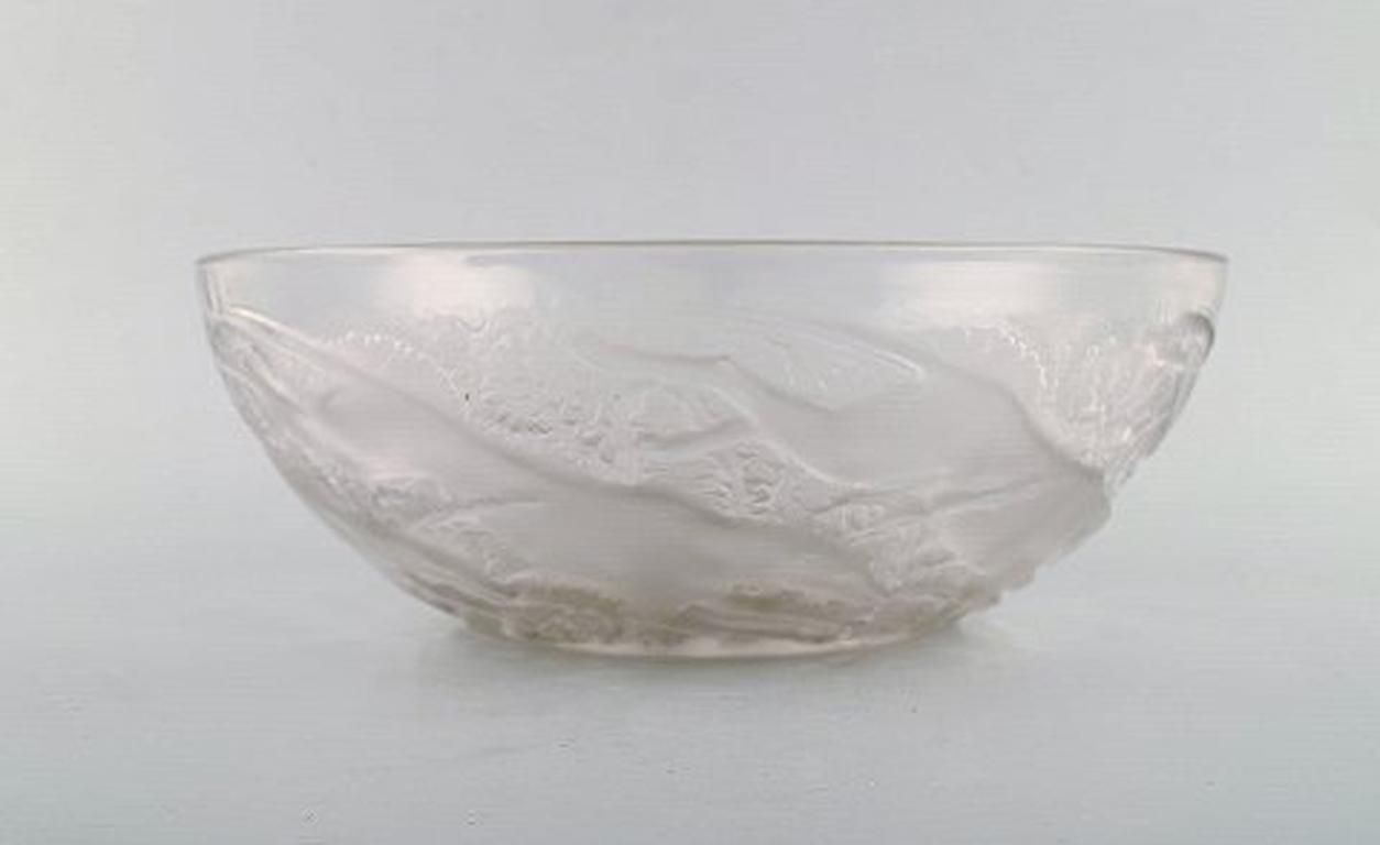 Early And Rare René Lalique "Chiens" Art Deco Bowl In Art Glass, 1930s photo for sale