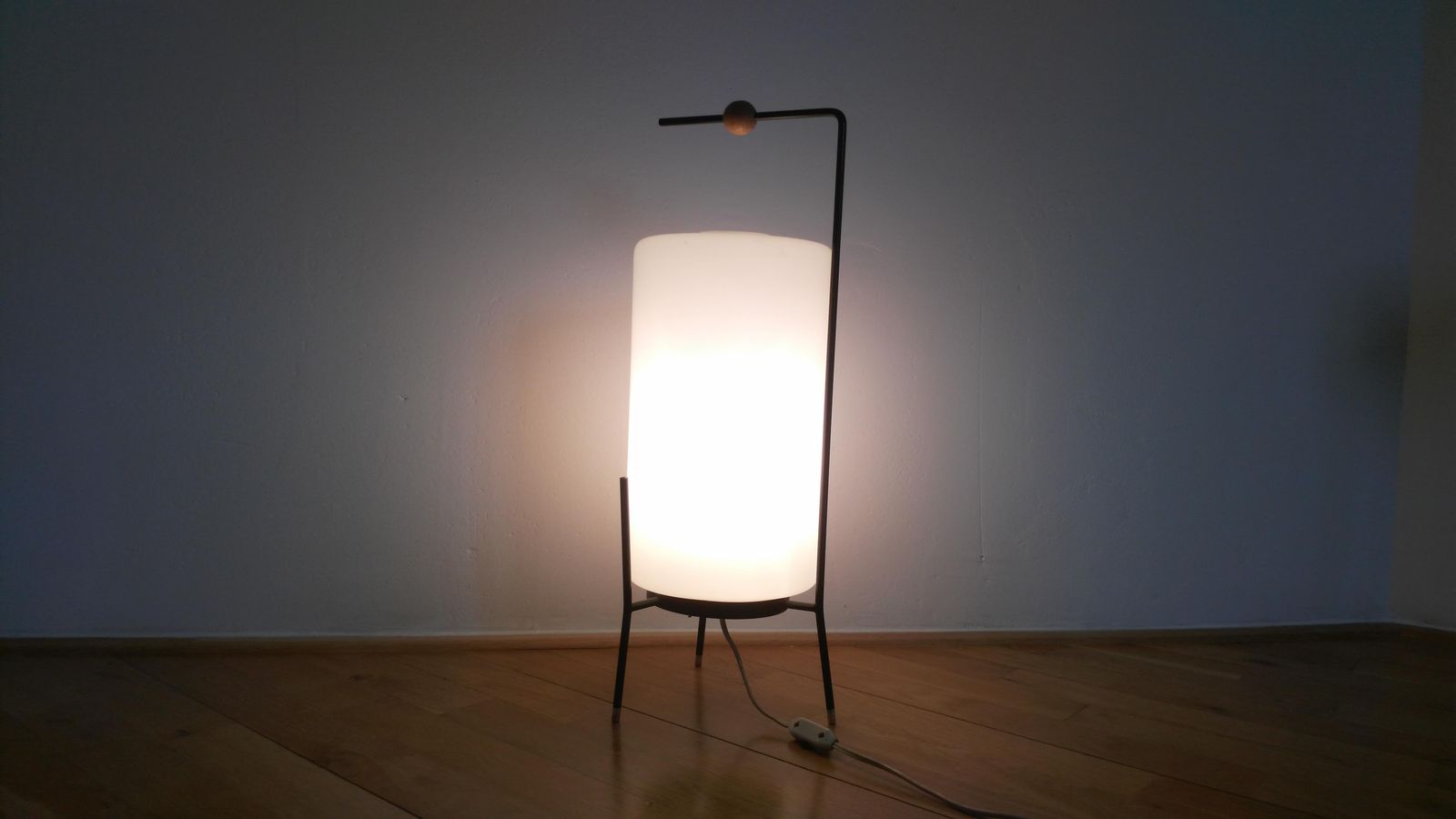 Set Of Very Rare Floor Lamps By Josef Hůrka. 1960 photo Lighting