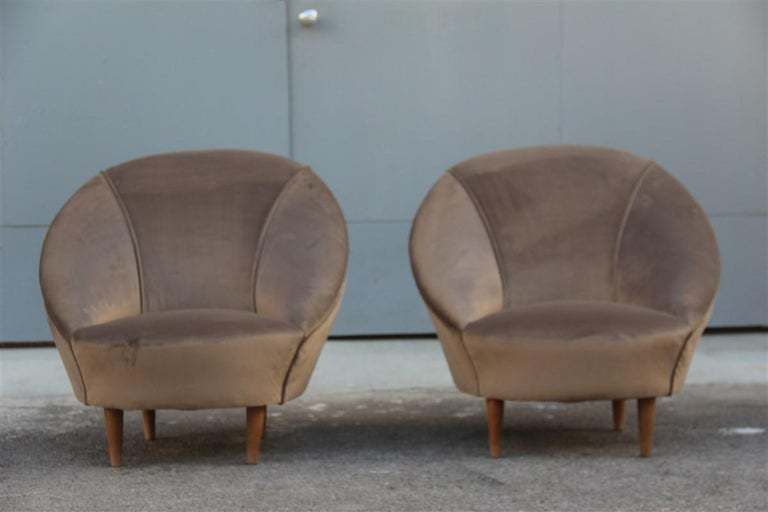 photo furniture Federico Munari Midcentury Armchairs Bronze Velvet Curved Wooden Feet, 1950s