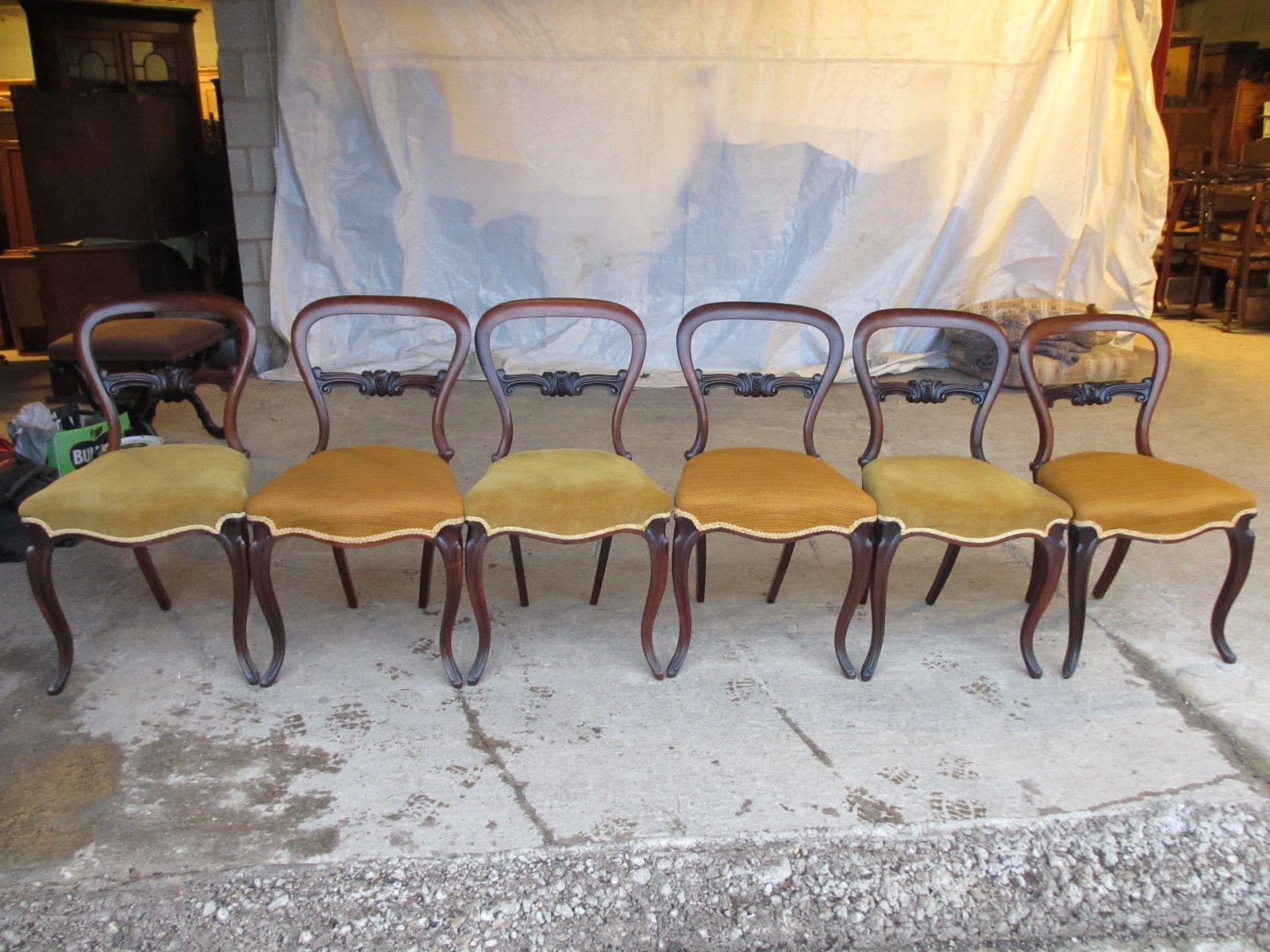Set Of 6 Victorian Rosewood Balloon Back Dining Chairs Serpentine Seats photo furniture
