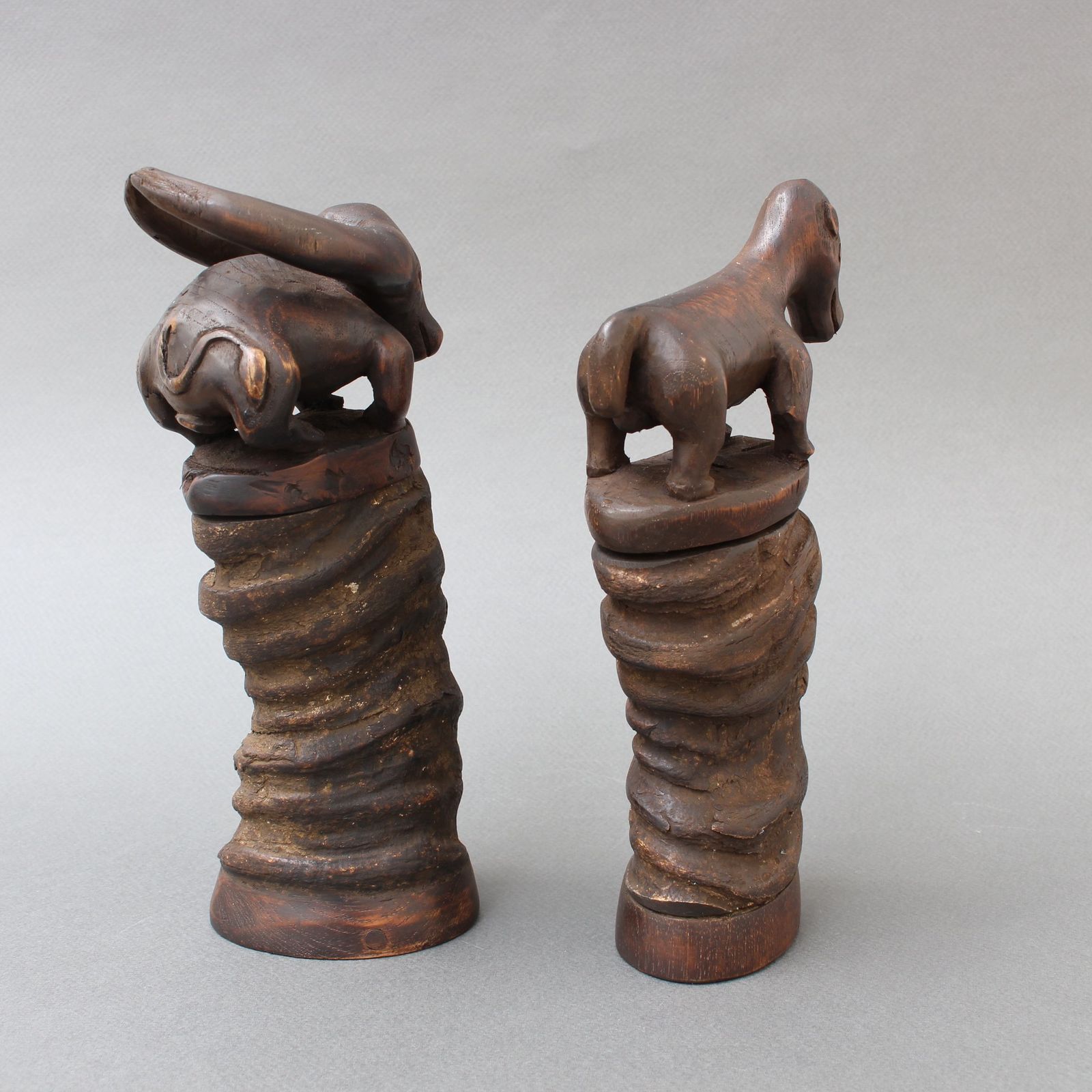 Pair Of Water Buffalo Horn And Wood Lime Powder Holders For Betel Nut From Timor Island (Circa 1970s) photo vinterior