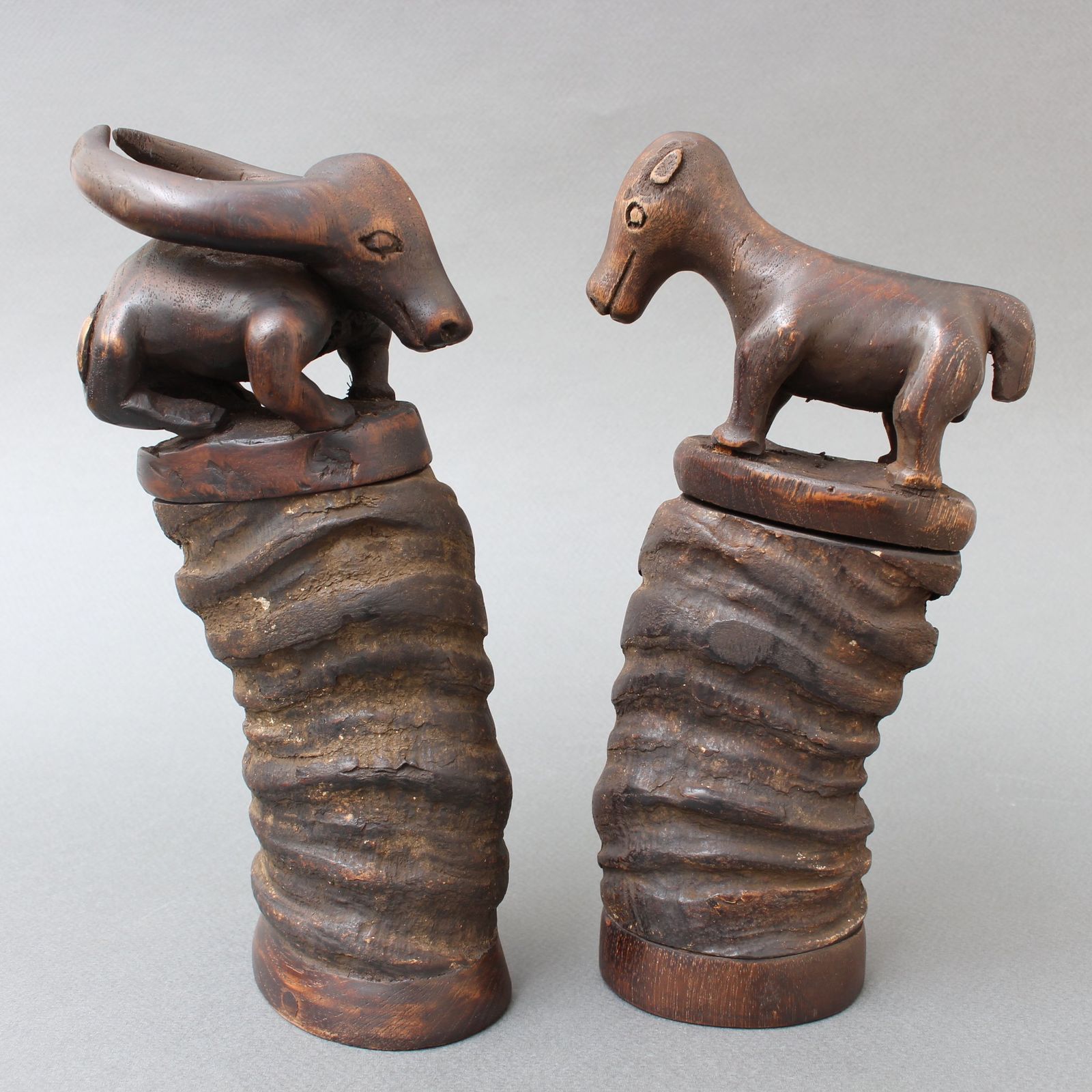 Pair Of Water Buffalo Horn And Wood Lime Powder Holders For Betel Nut From Timor Island (Circa 1970s) photo buy